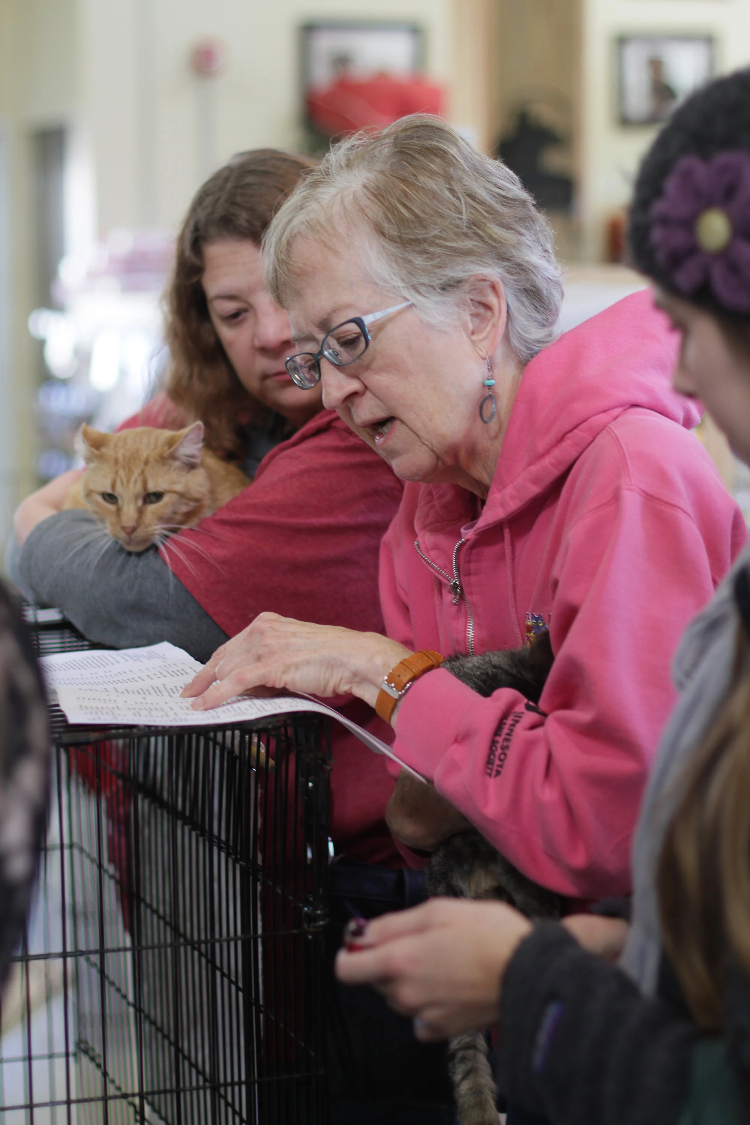 Celebrate National Pet Volunteer Day: 