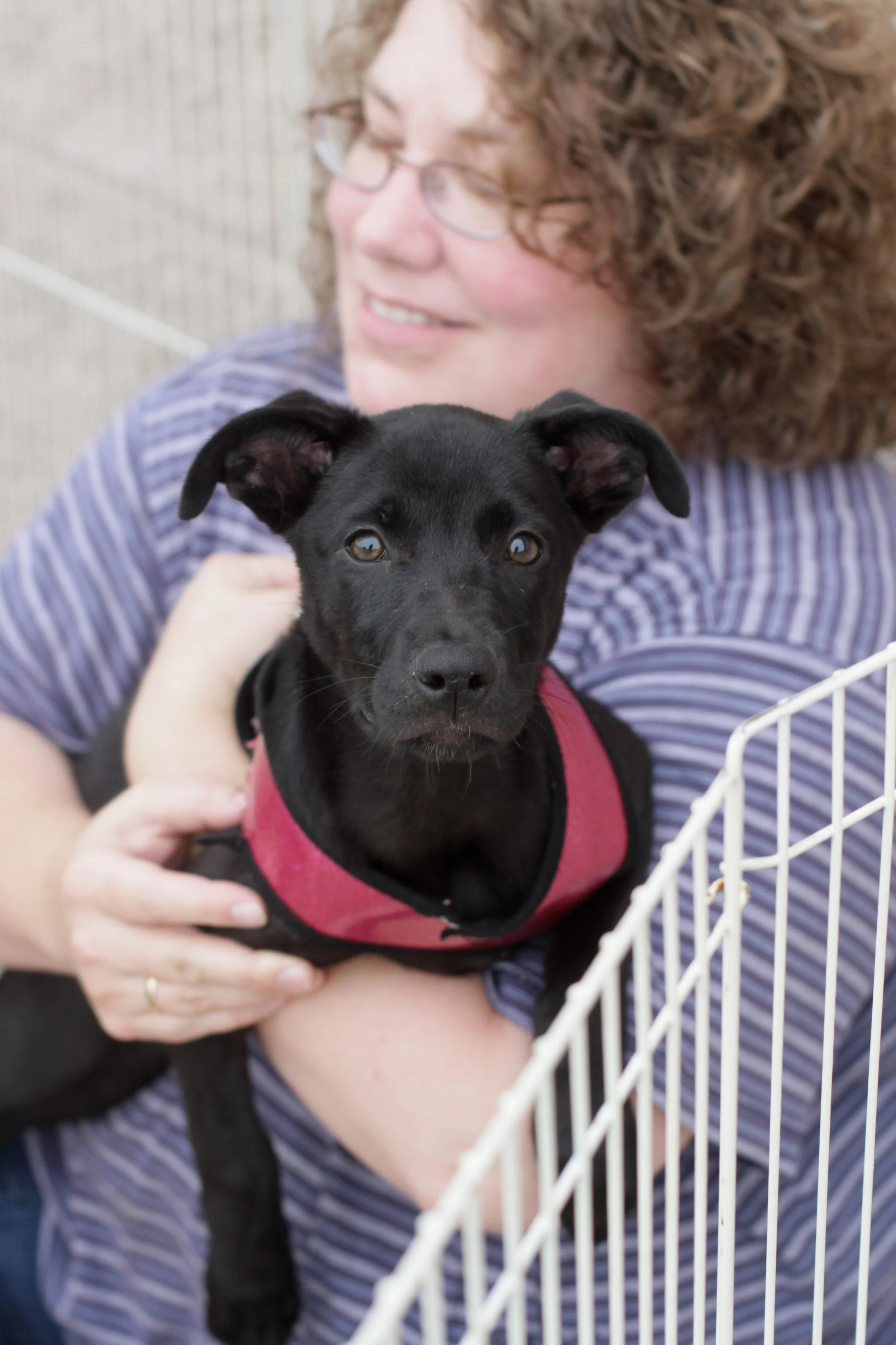A woman with curly hair and glasses holding a small black puppy in a red harness, sitting in front of a pet store.