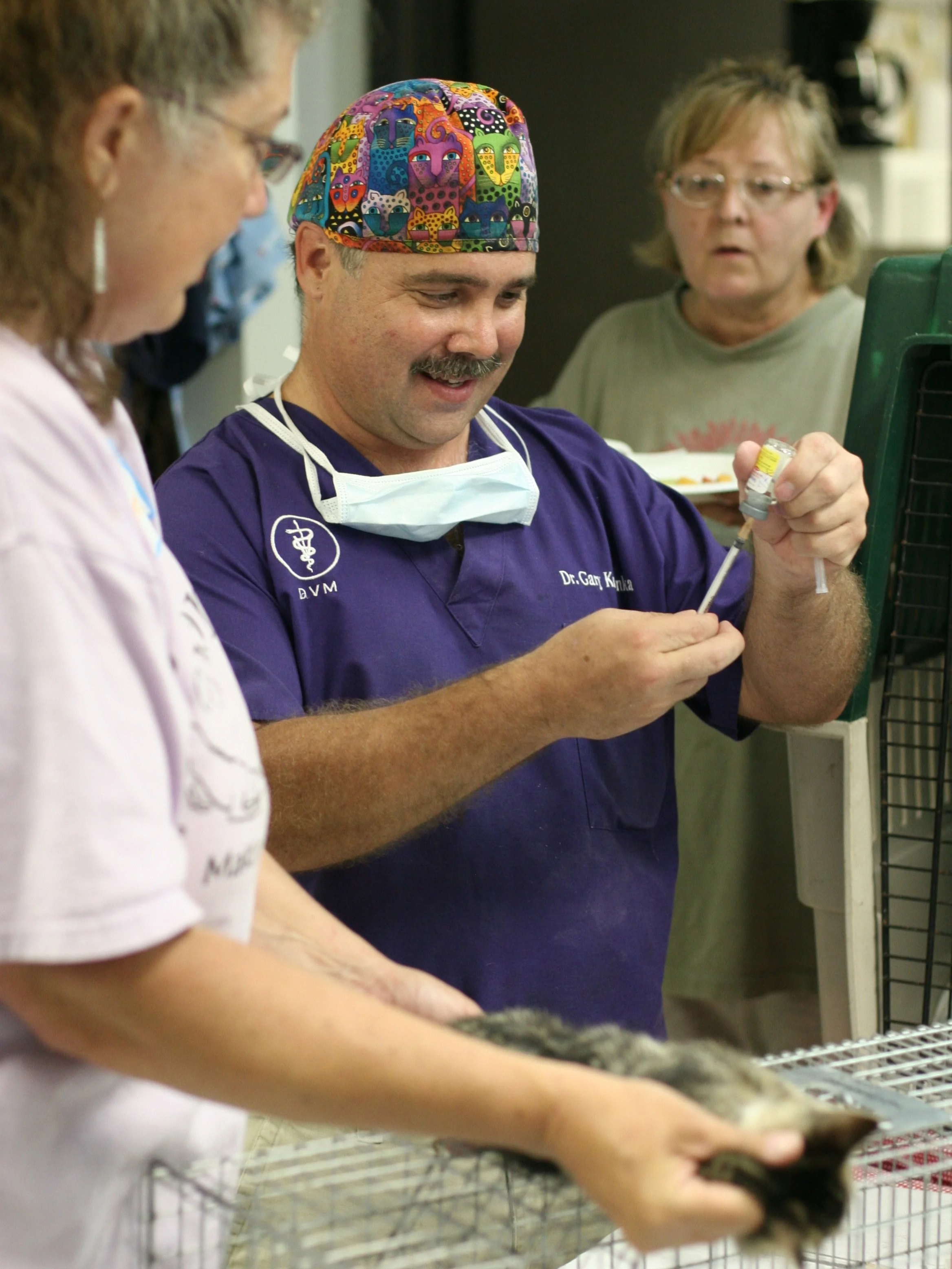Veterinarian and volunteers prep cats for Trap - Neuter - Return