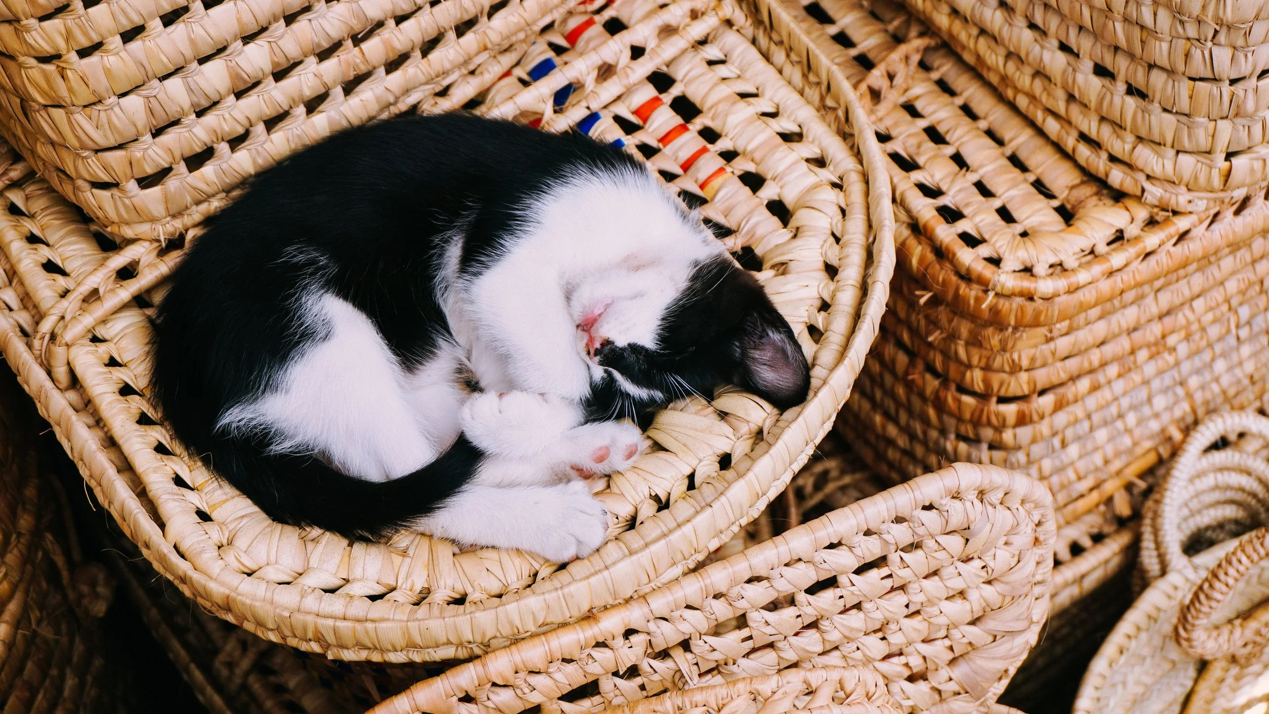 A black and white cat sleeping curled up on a woven wicker basket.