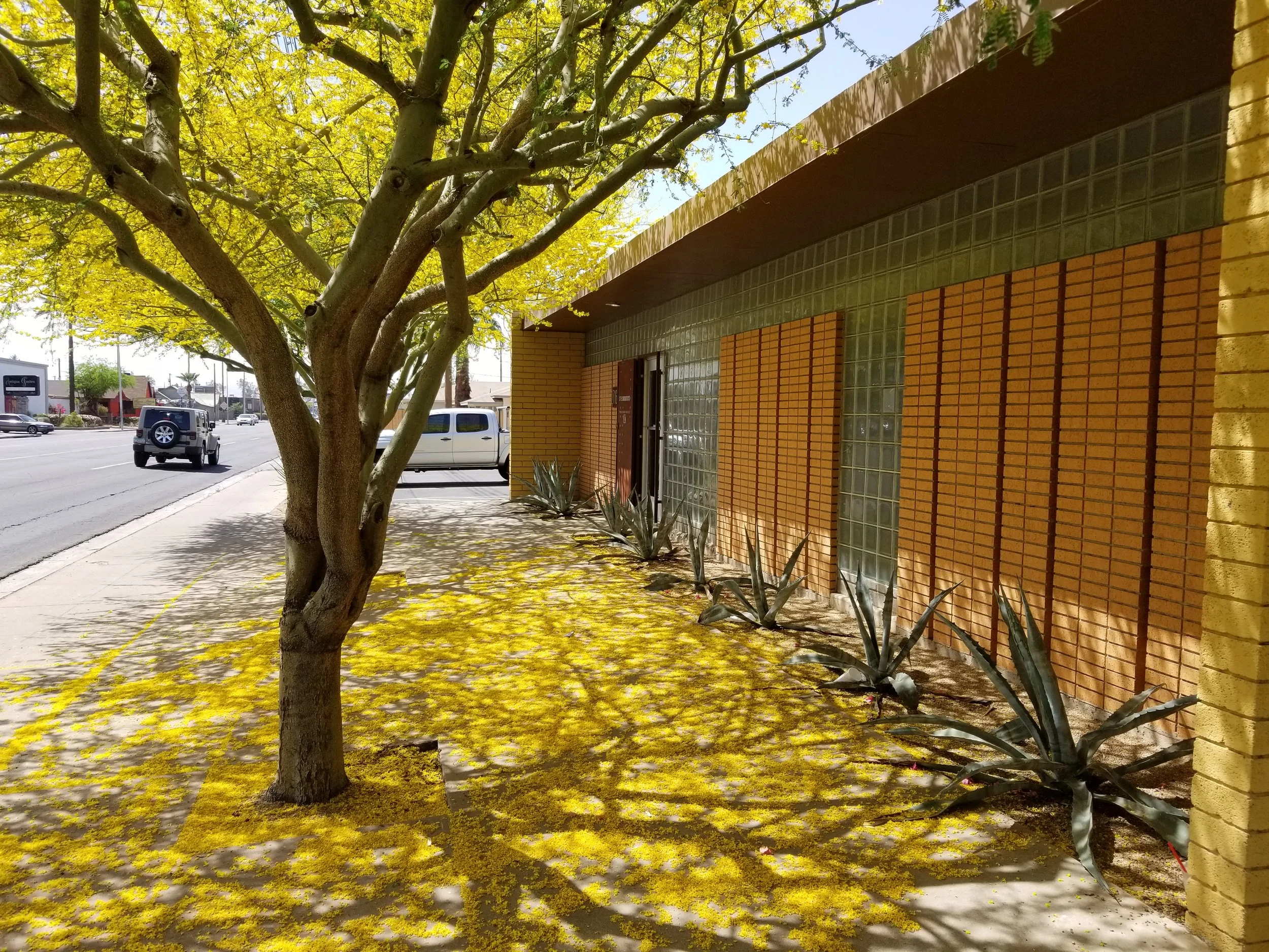 Studio 16 Coronado Co-Working space