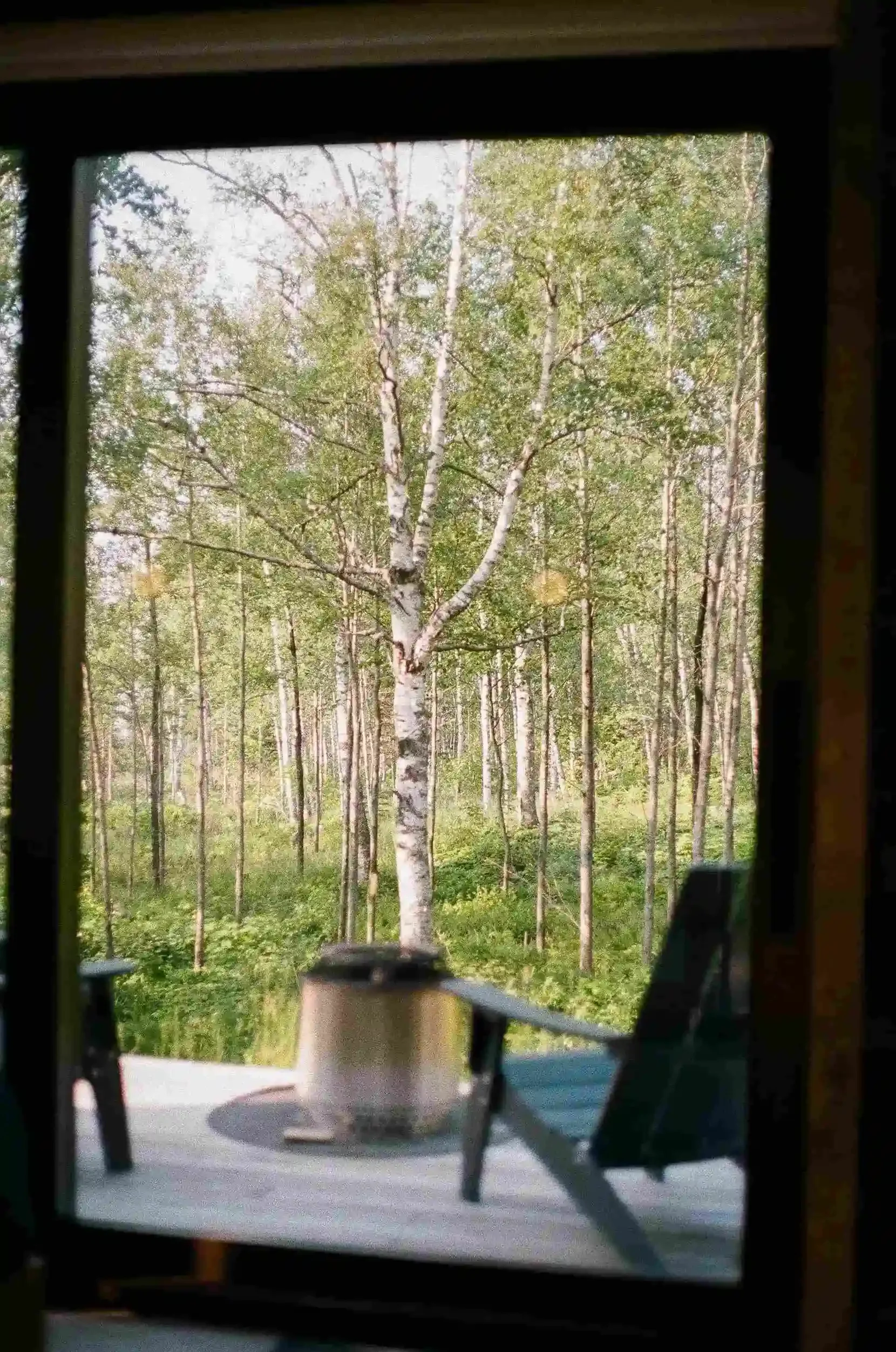 Private cabin deck with Adirondack chairs and Solo Stove overlooking the forest on Minnesota’s North Shore