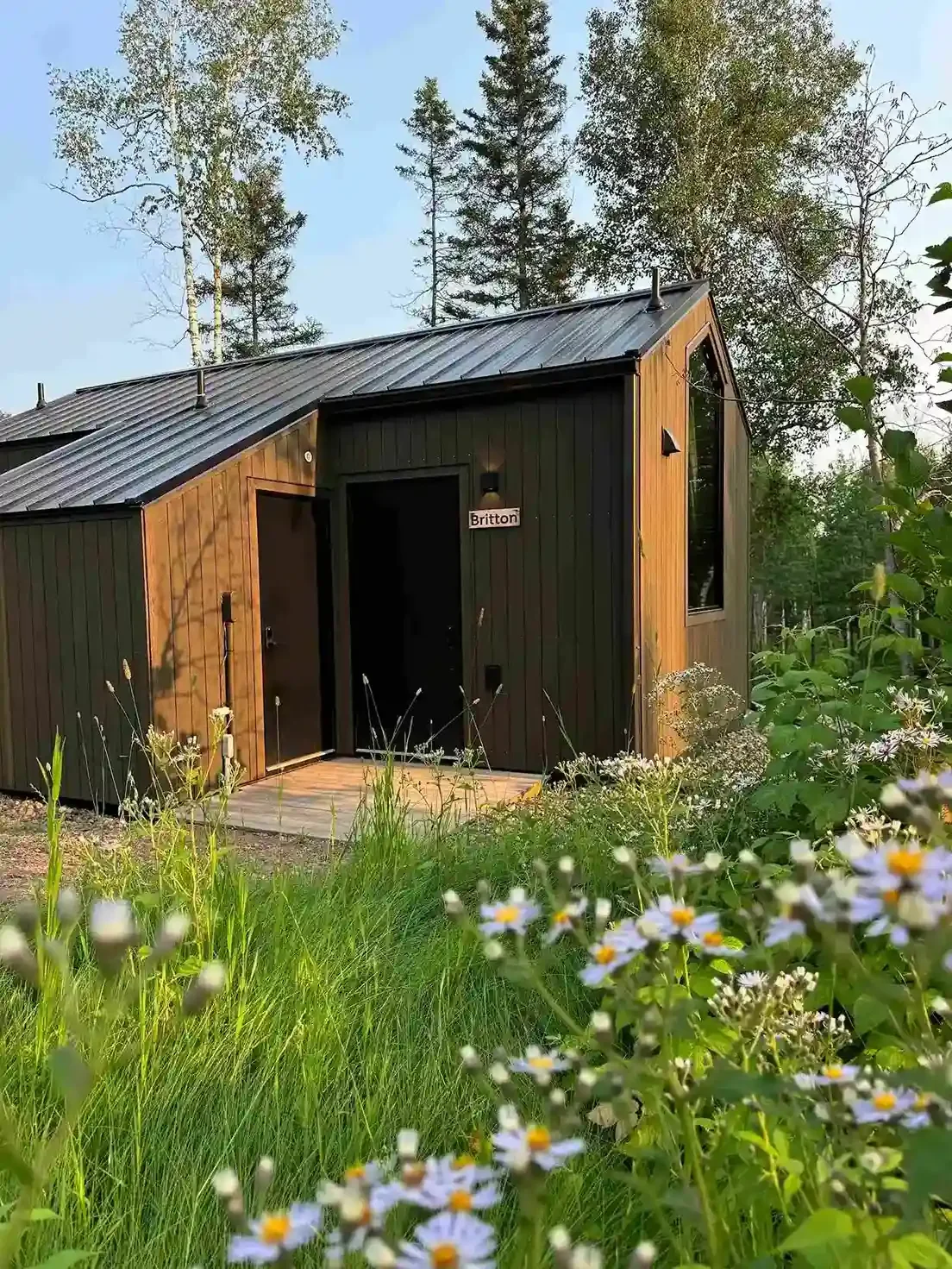 Small wooden cabin with a metal roof surrounded by wildflowers and trees in a natural setting.