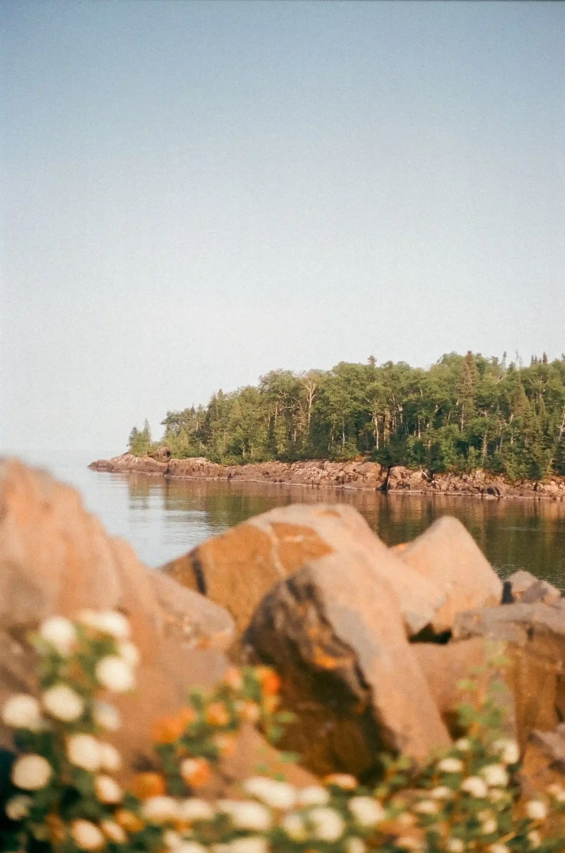 Lake Superior shoreline and forest along Minnesota's North Shore