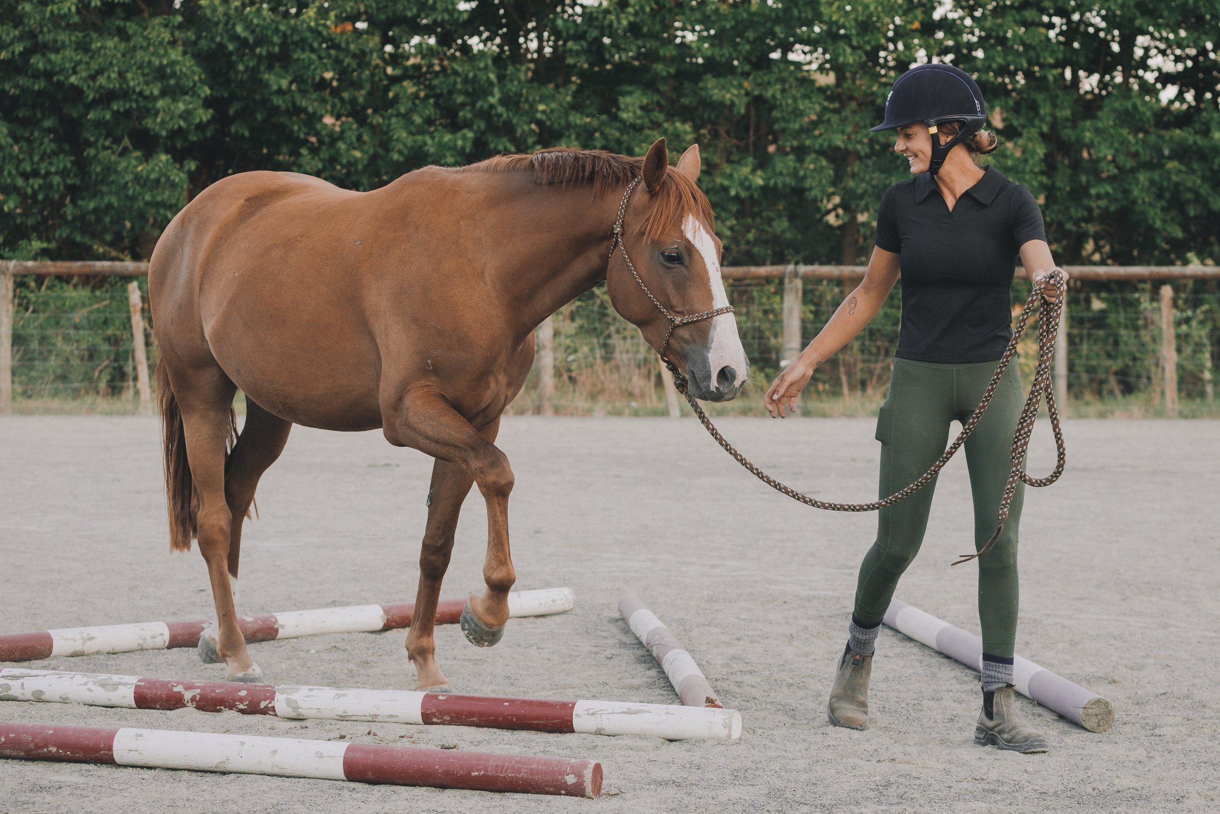 Meraki Equine-193.jpeg