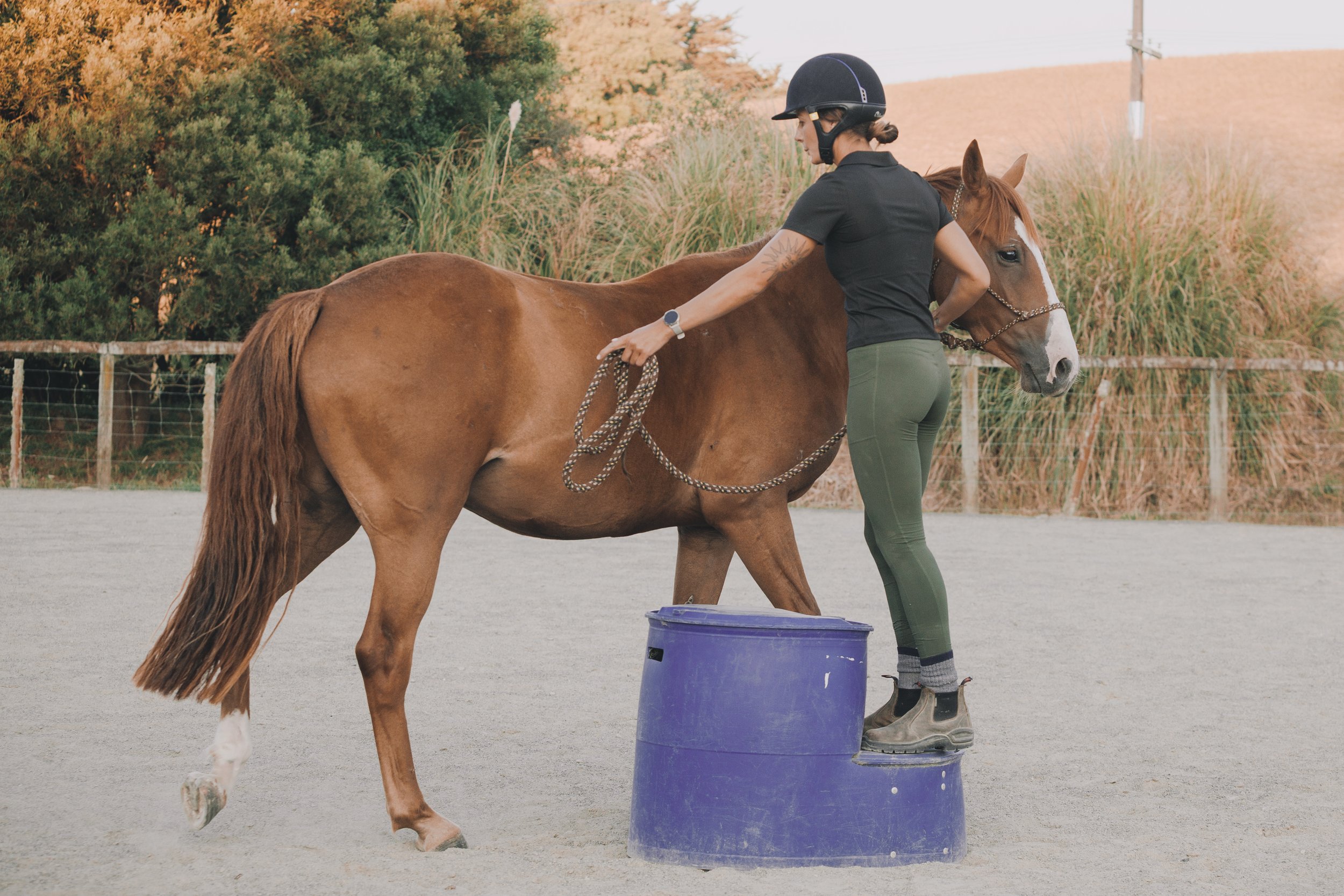 Meraki Equine-175.jpeg