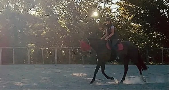 A person riding a horse in an outdoor riding arena with trees in the background.