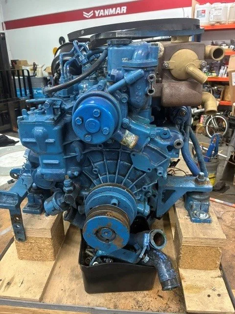 P5.jpg