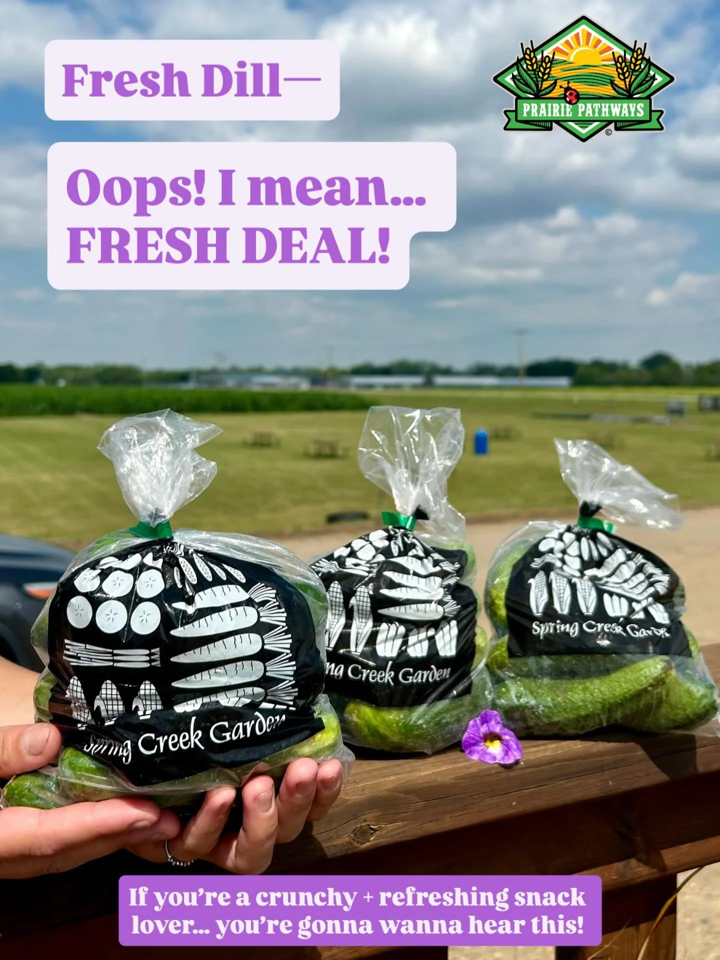 Rainy days = crunchy snack rewards! ๐ฅ๐
Buy 2 of our cucumber snack bags, and get a third one FREE — this weekend only at Prairie Pathways!
Locally grown by the amazing folks at @springcreekgarden and exclusively available at:
๐ 301 Valley Ro