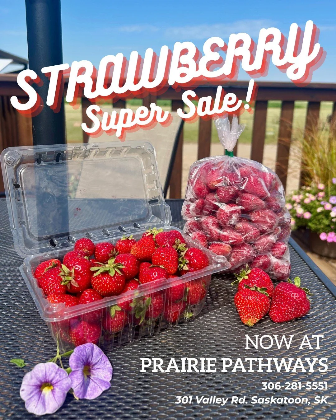๐ CRAZY STRAWBERRY DEALS TODAY! ๐
Freshly pre-picked strawberry clamshells ๐ $10 each OR 2 for $15!
Frozen 2lbs bags of fresh strawberries ๐ $10 each, 2 for $15, OR 5 for $35!
Stock up while they last – these sweet deals are for a limited