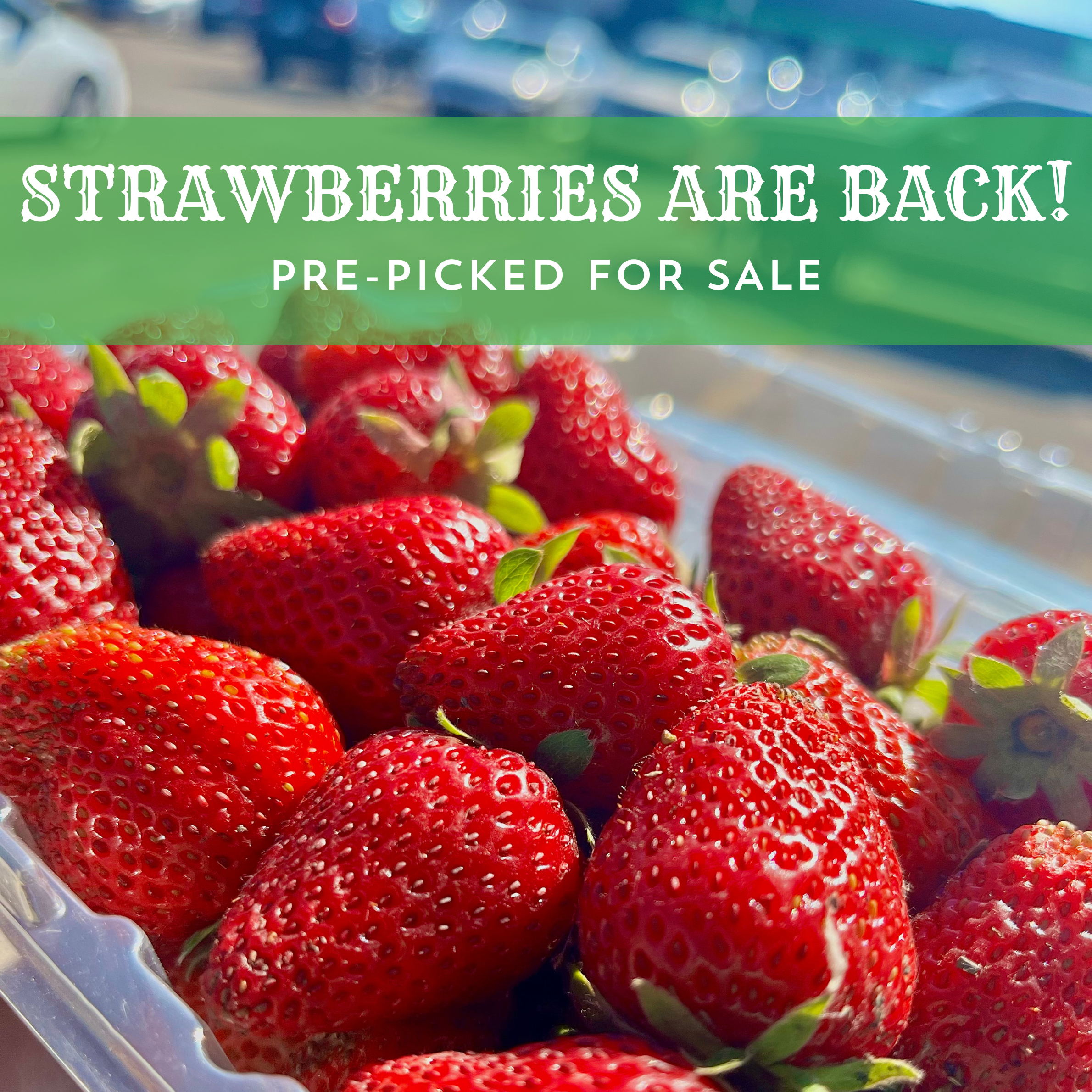 Strawberries in our Shop!
