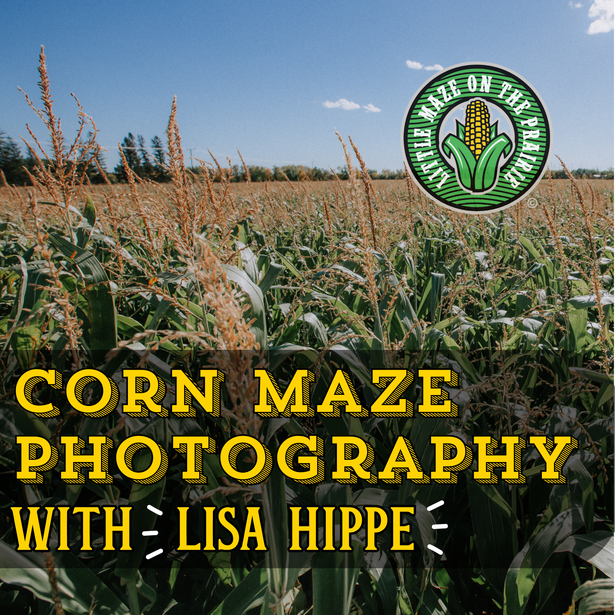 Corn Maze Photography with Lisa Hippe