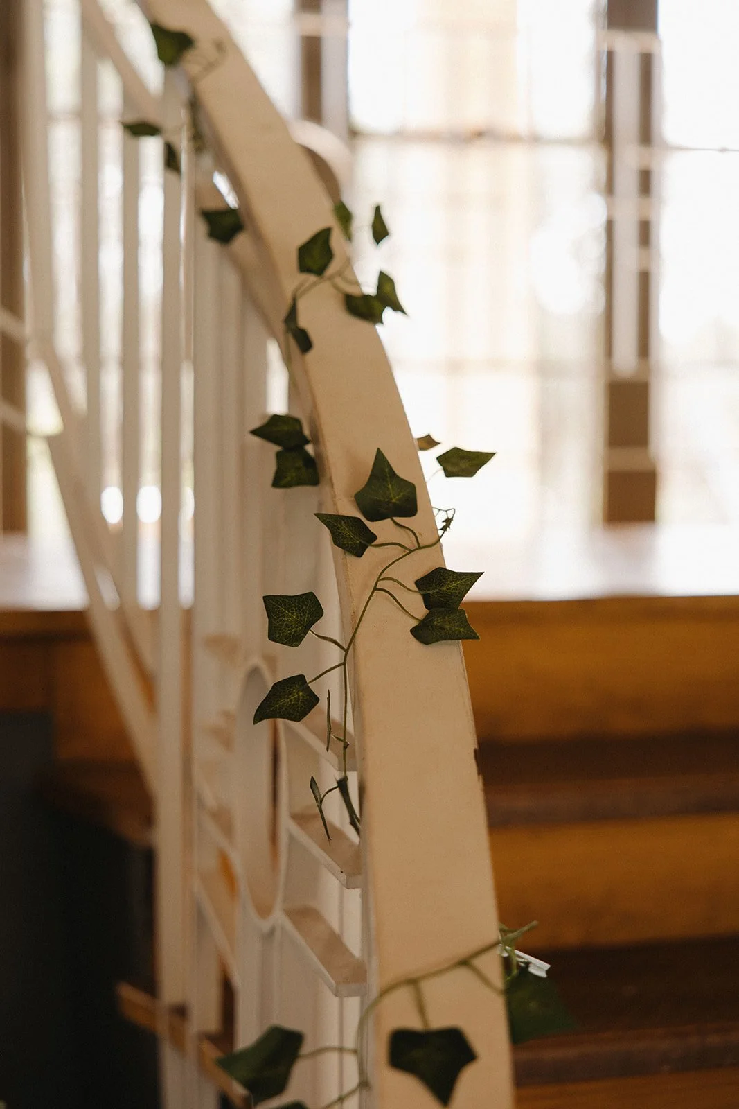 0P4A2478.jpeg