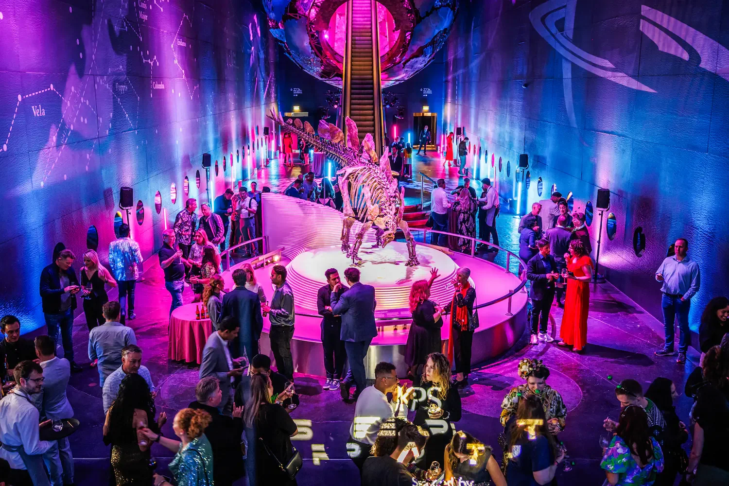 Natural History Museum tech company Christmas party