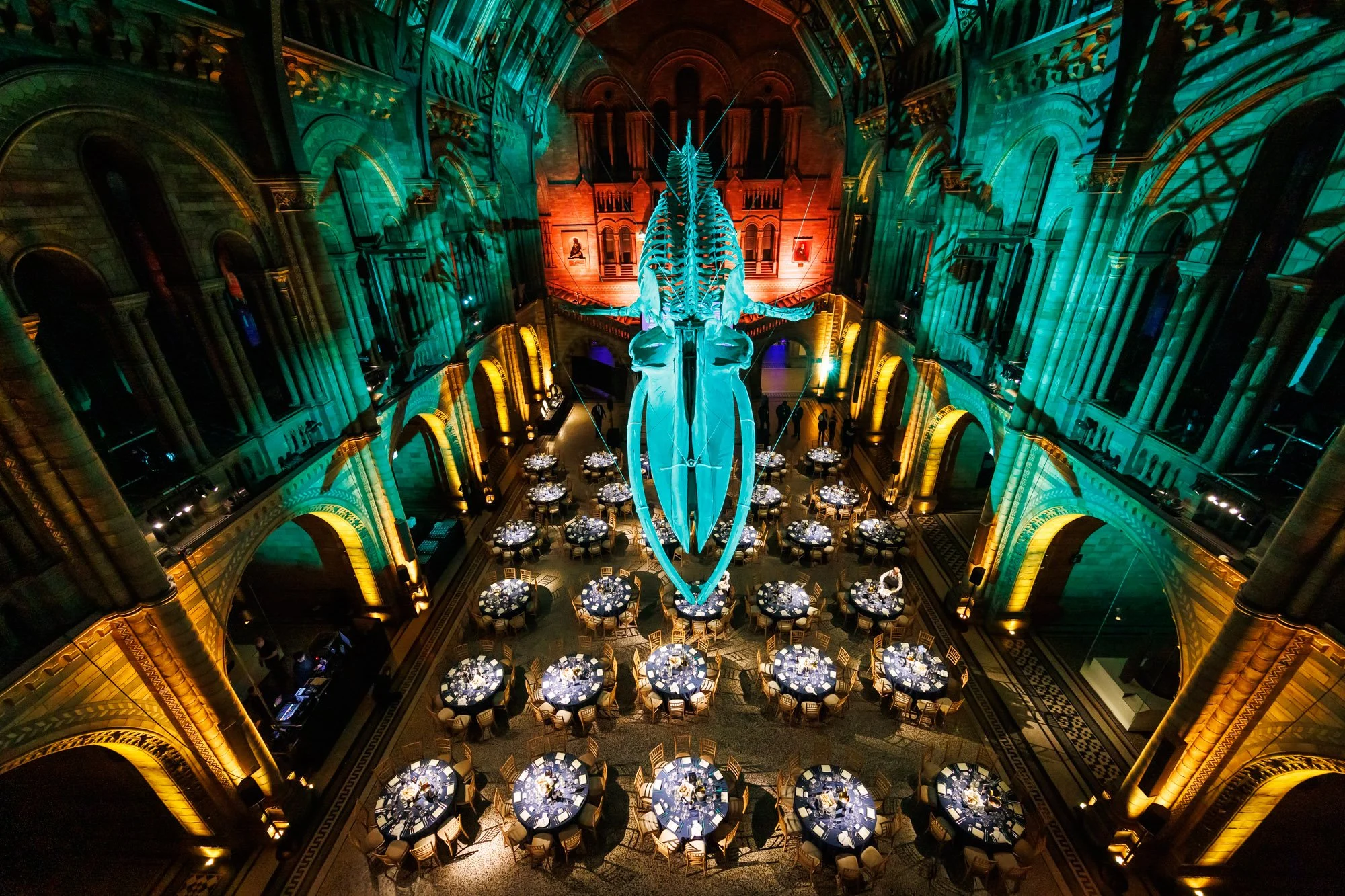 Charity gala dinner at the Natural History Museum