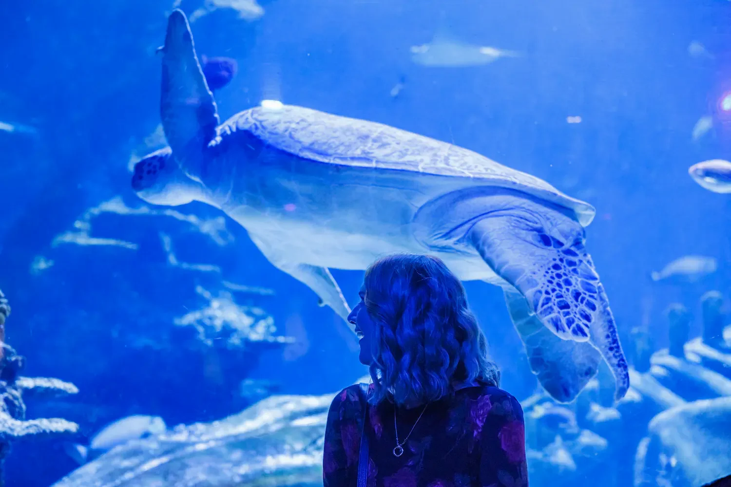 Company party at the London Acquarium