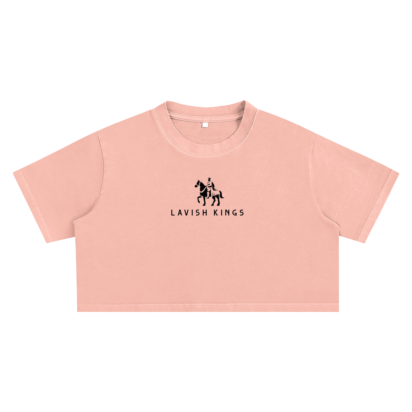 squarespace-upload-temp-2025-04-07-0f0f4620-0d7e-4070-b6ca-300f1a73b1ce5905115773372034469.png