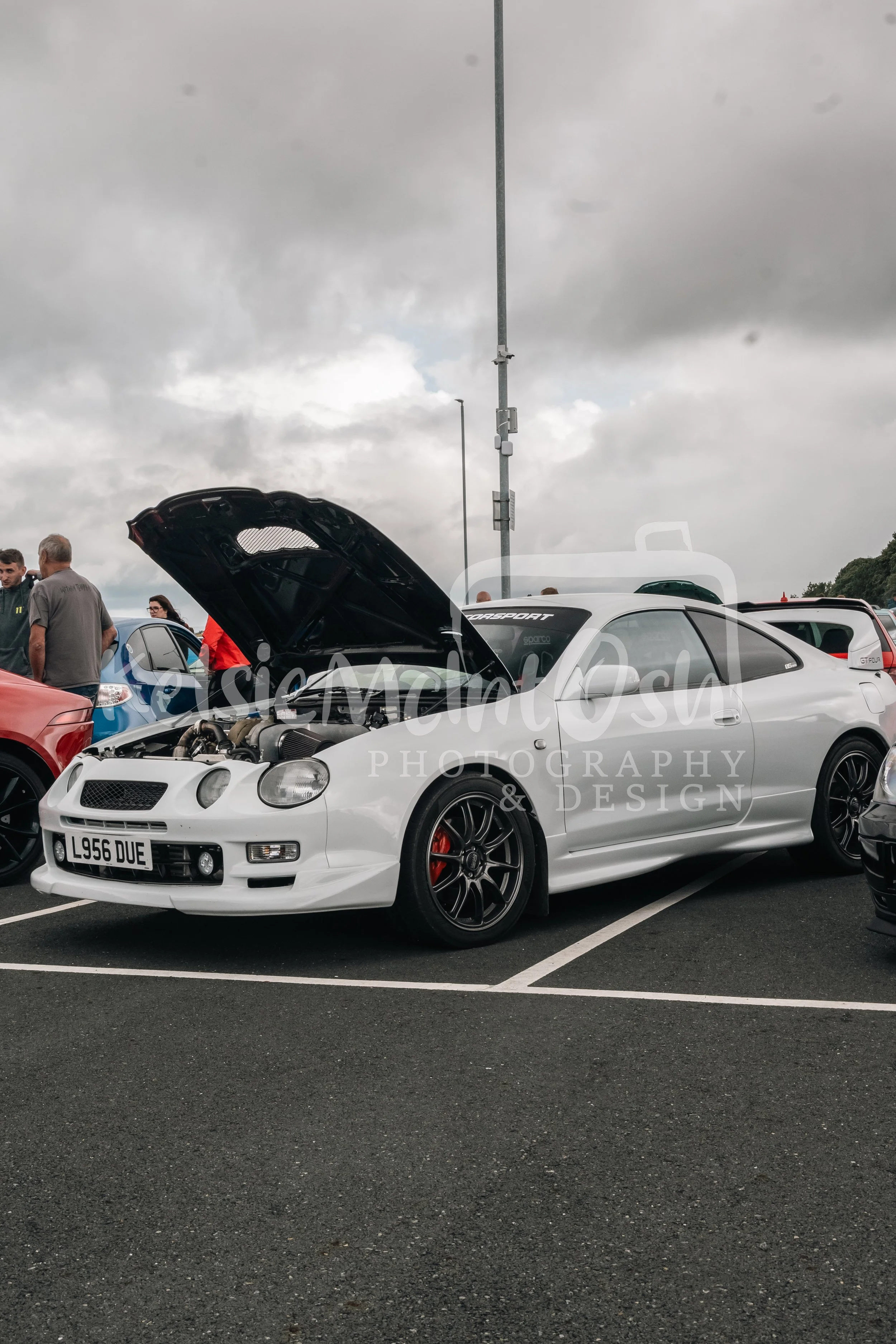 DSC_2309.jpg