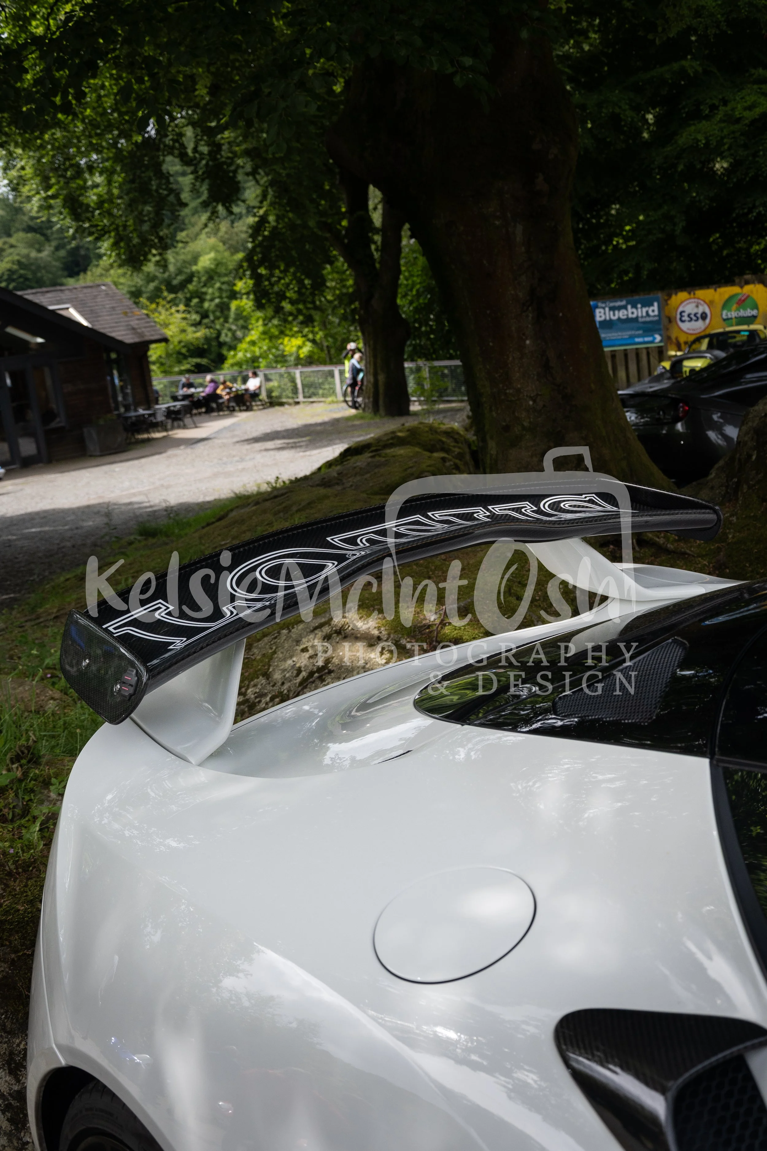 DSC_1280.jpg