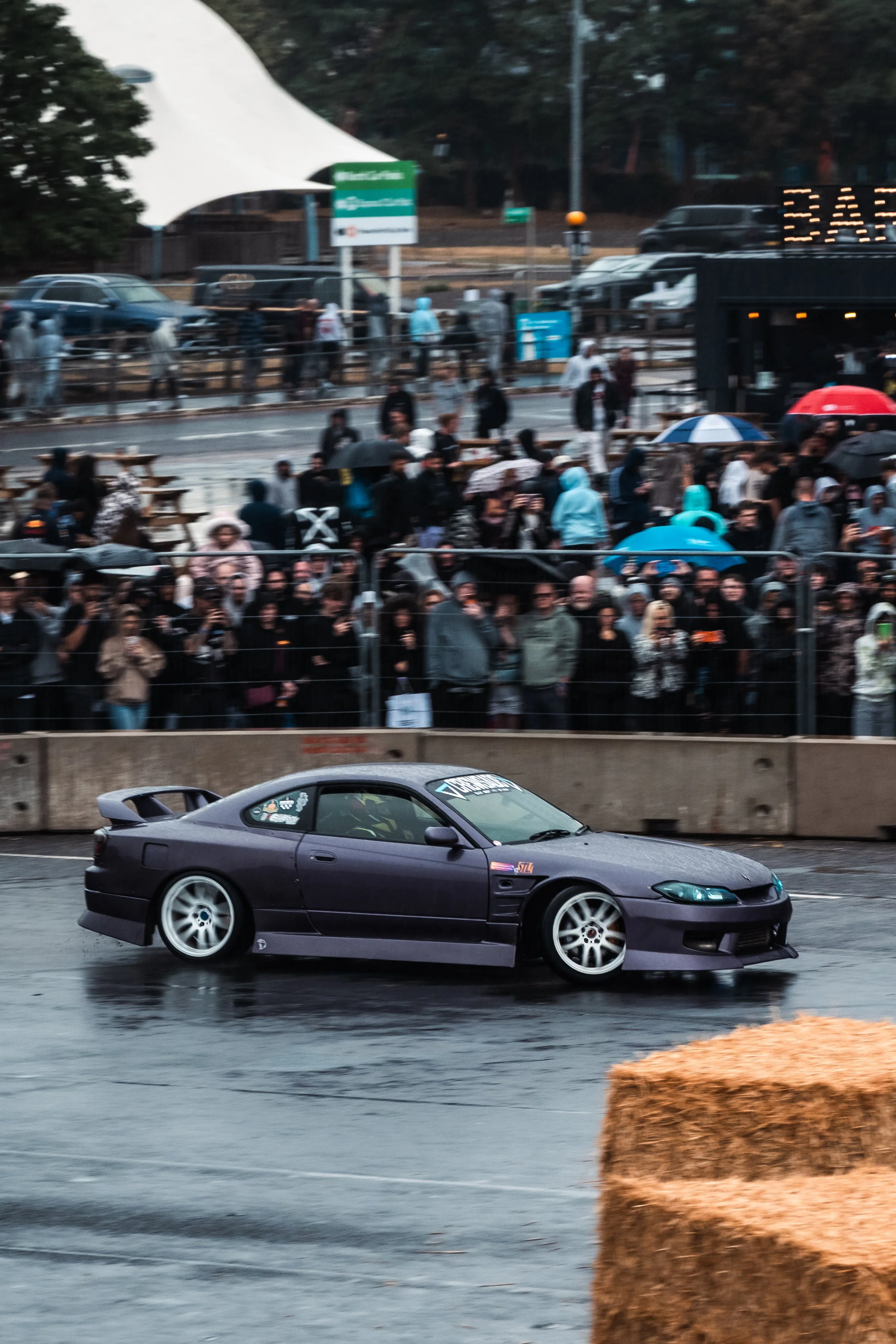 DSC_2639.jpg