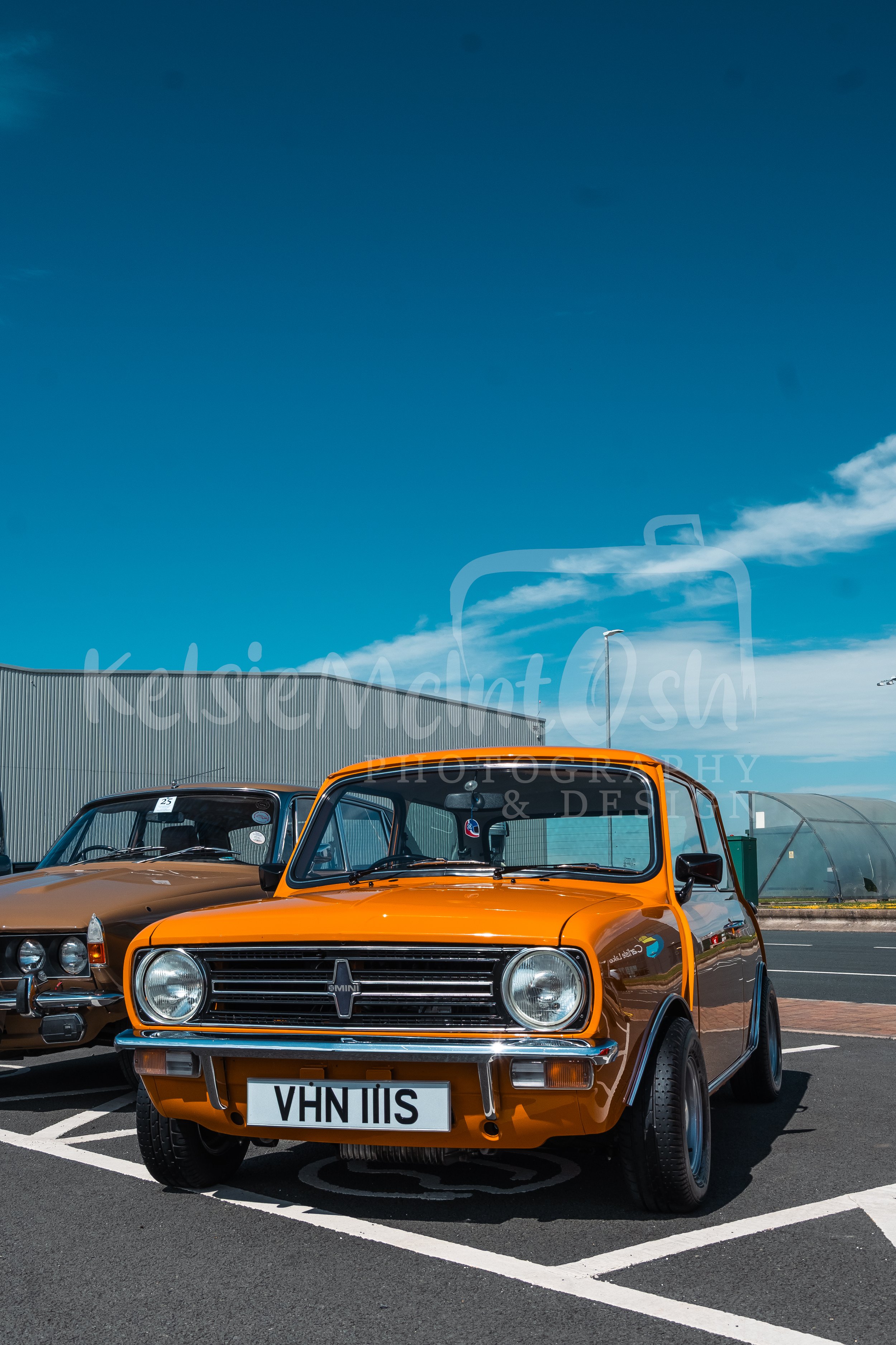 DSC_9673.jpg