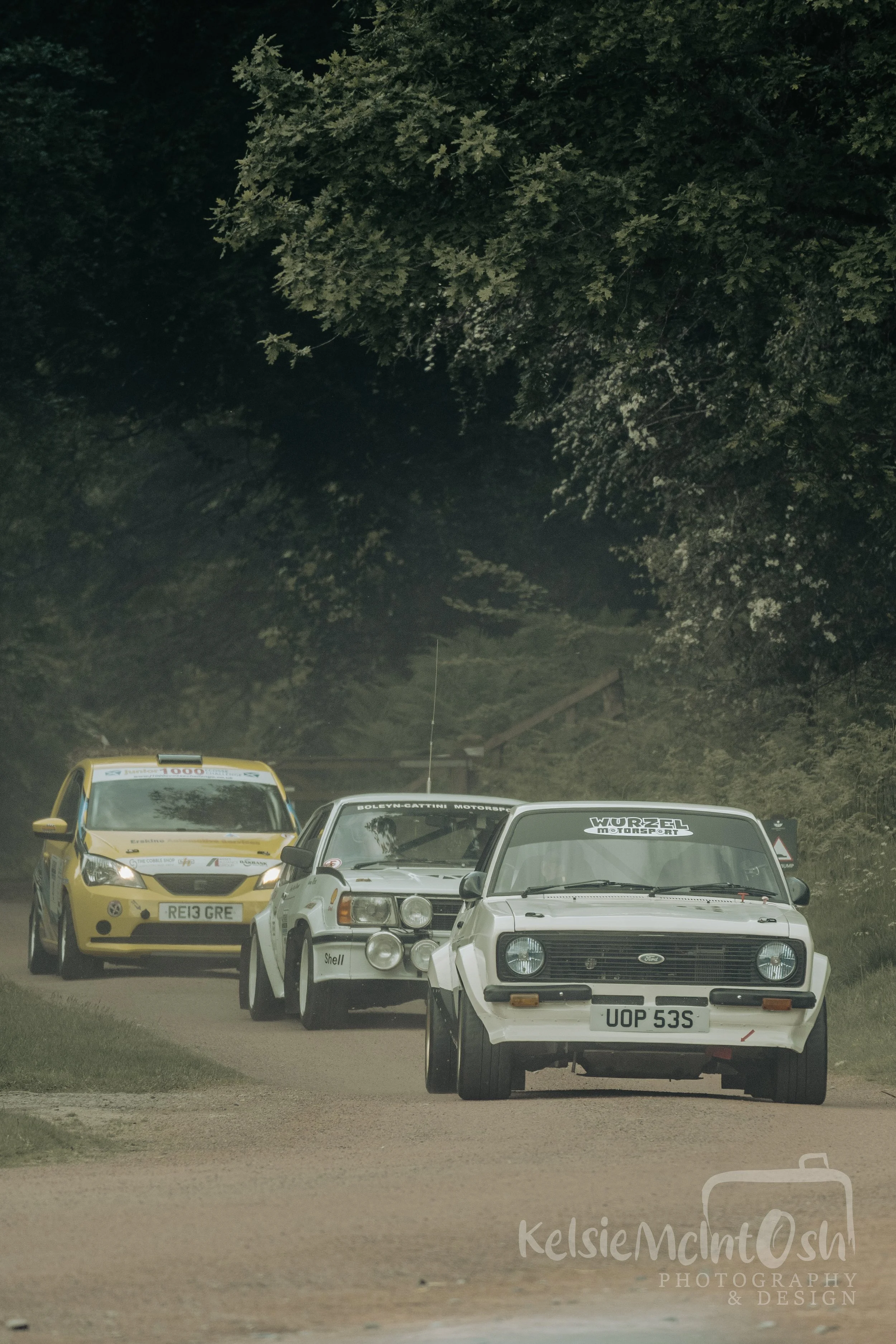 DSC_9909-2.jpg