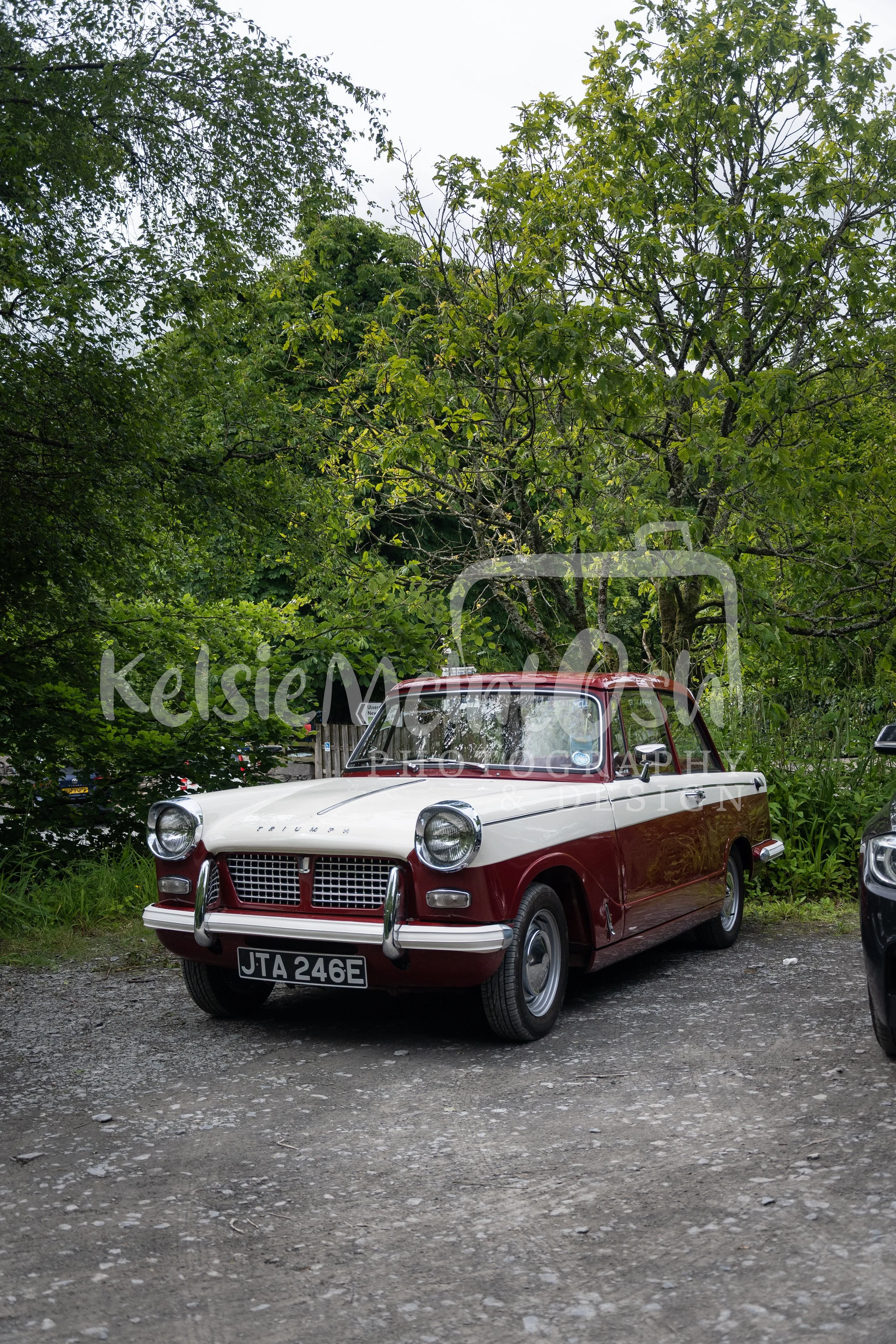 DSC_1335.jpg