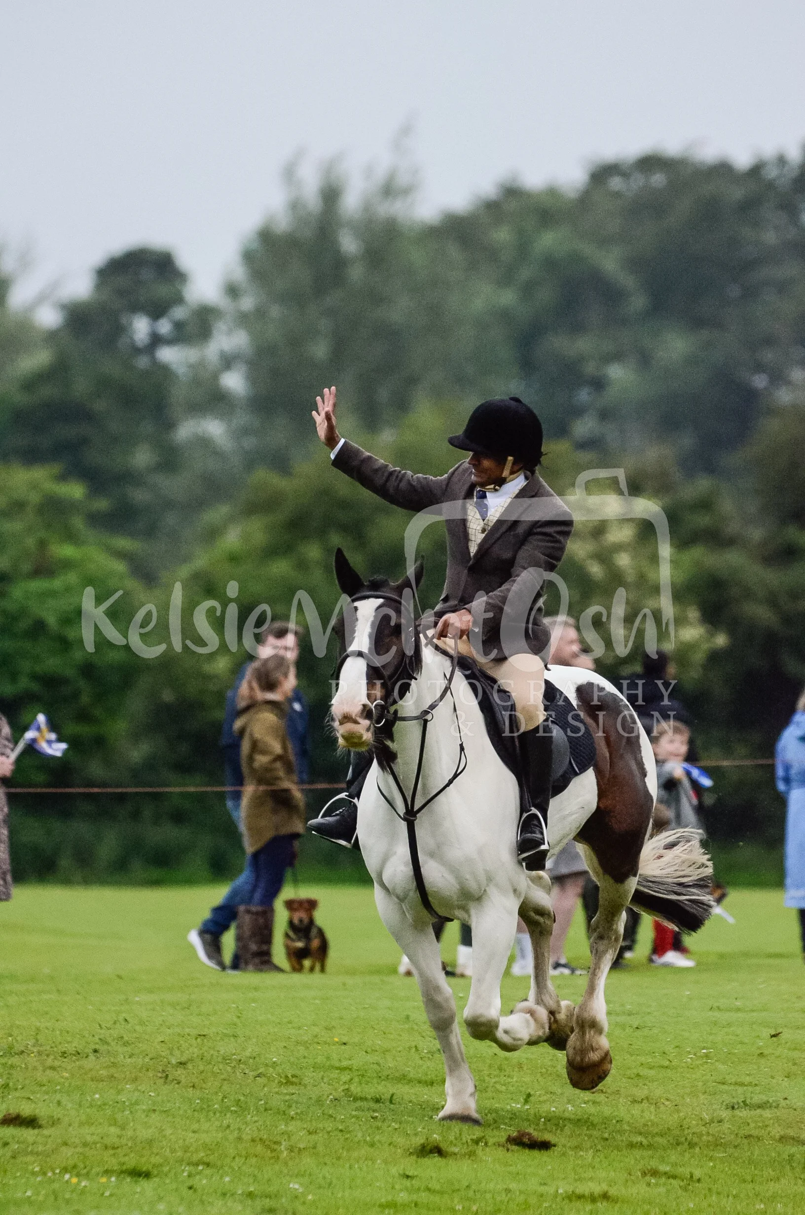 _DSC6790.jpg