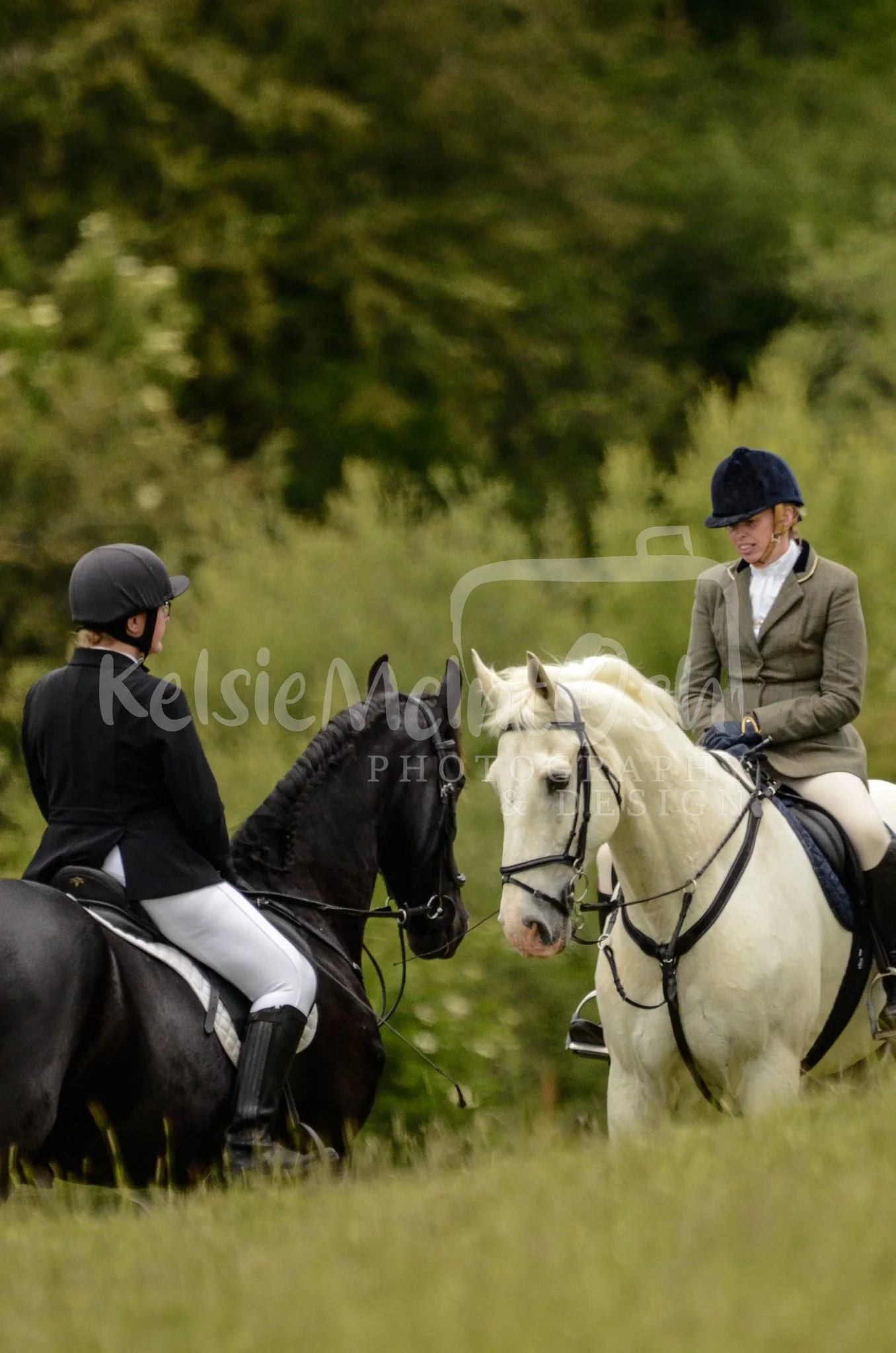 Belton Hill Rideout (Dumfries)