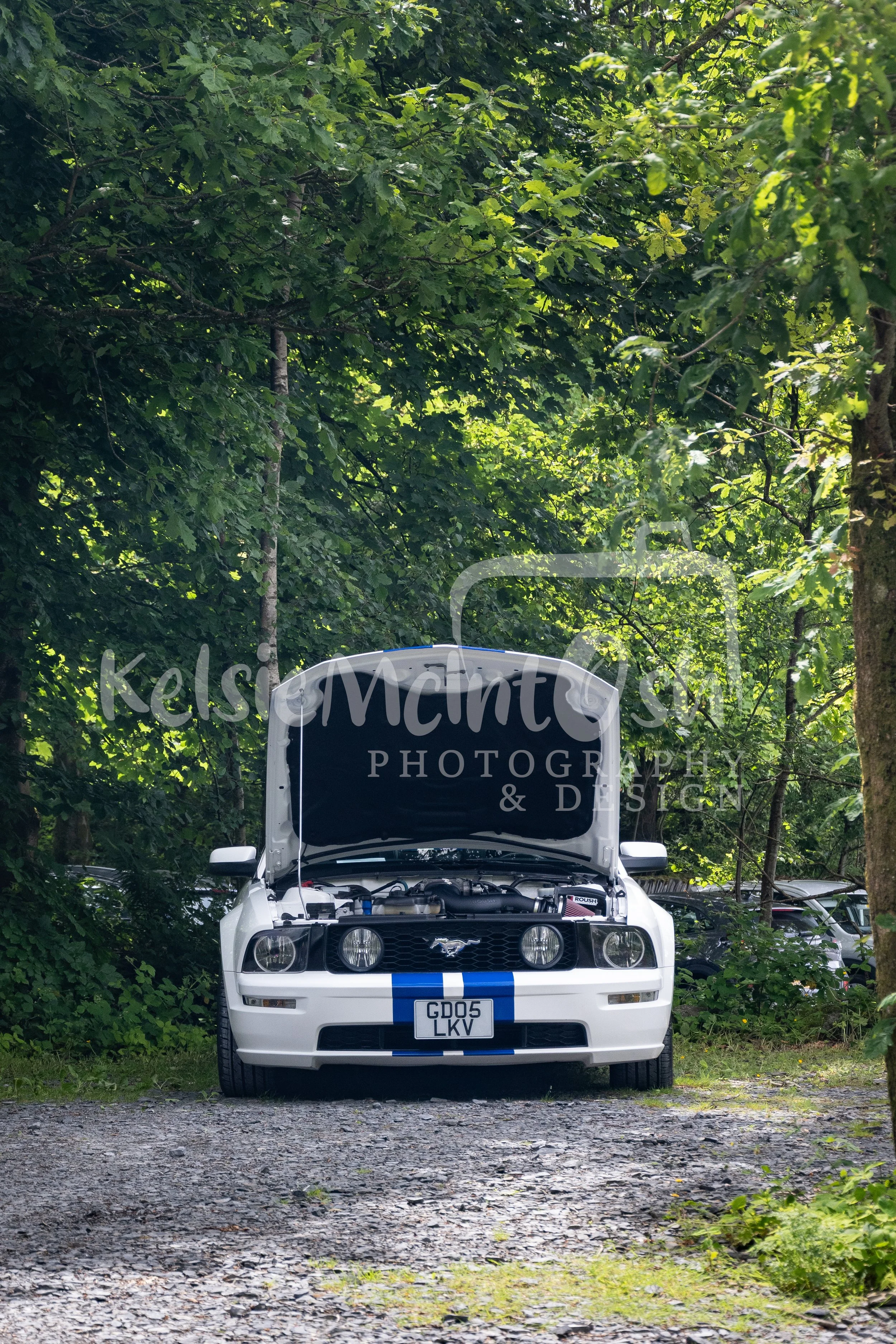 DSC_1308.jpg
