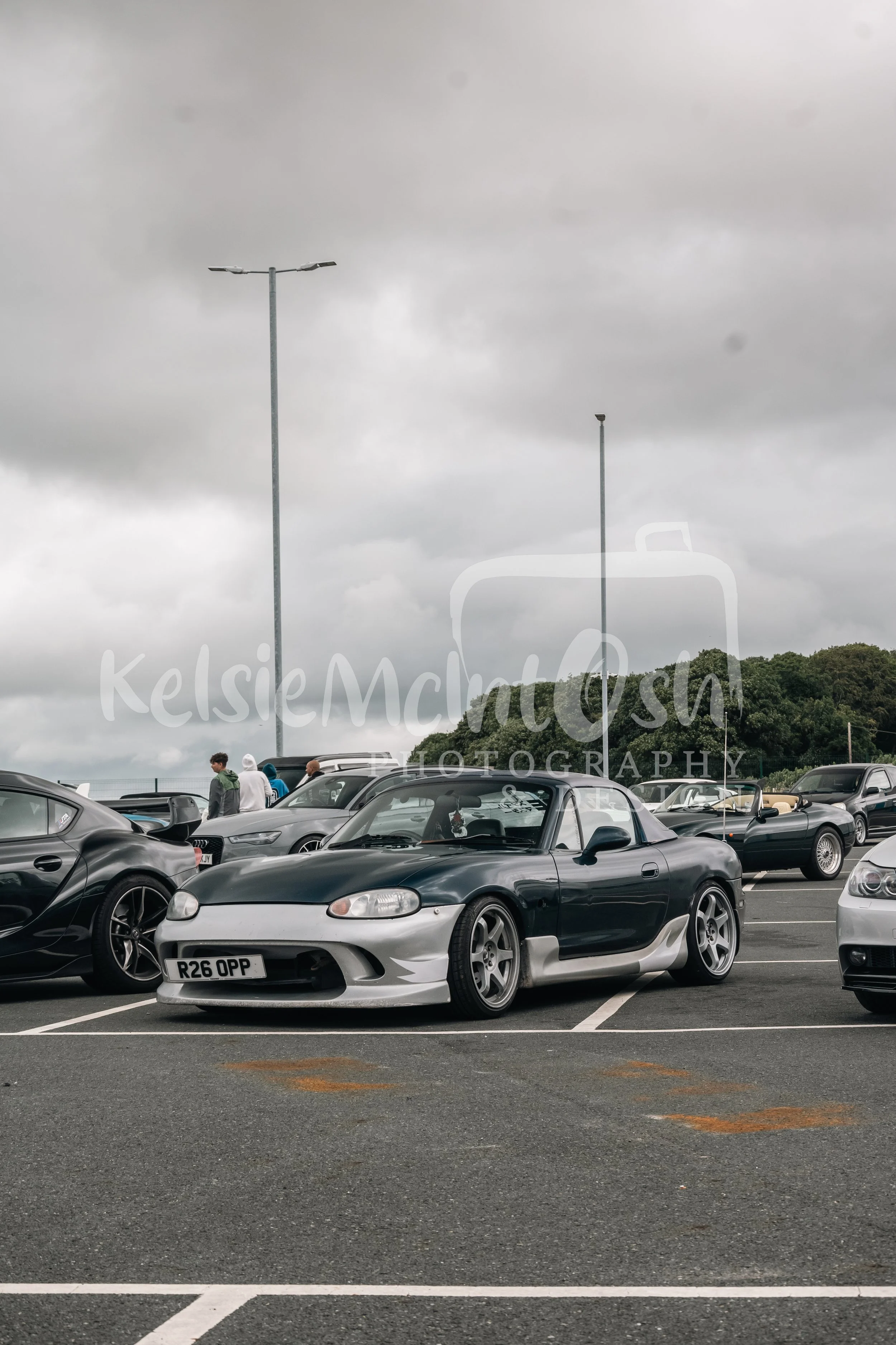 DSC_2412.jpg