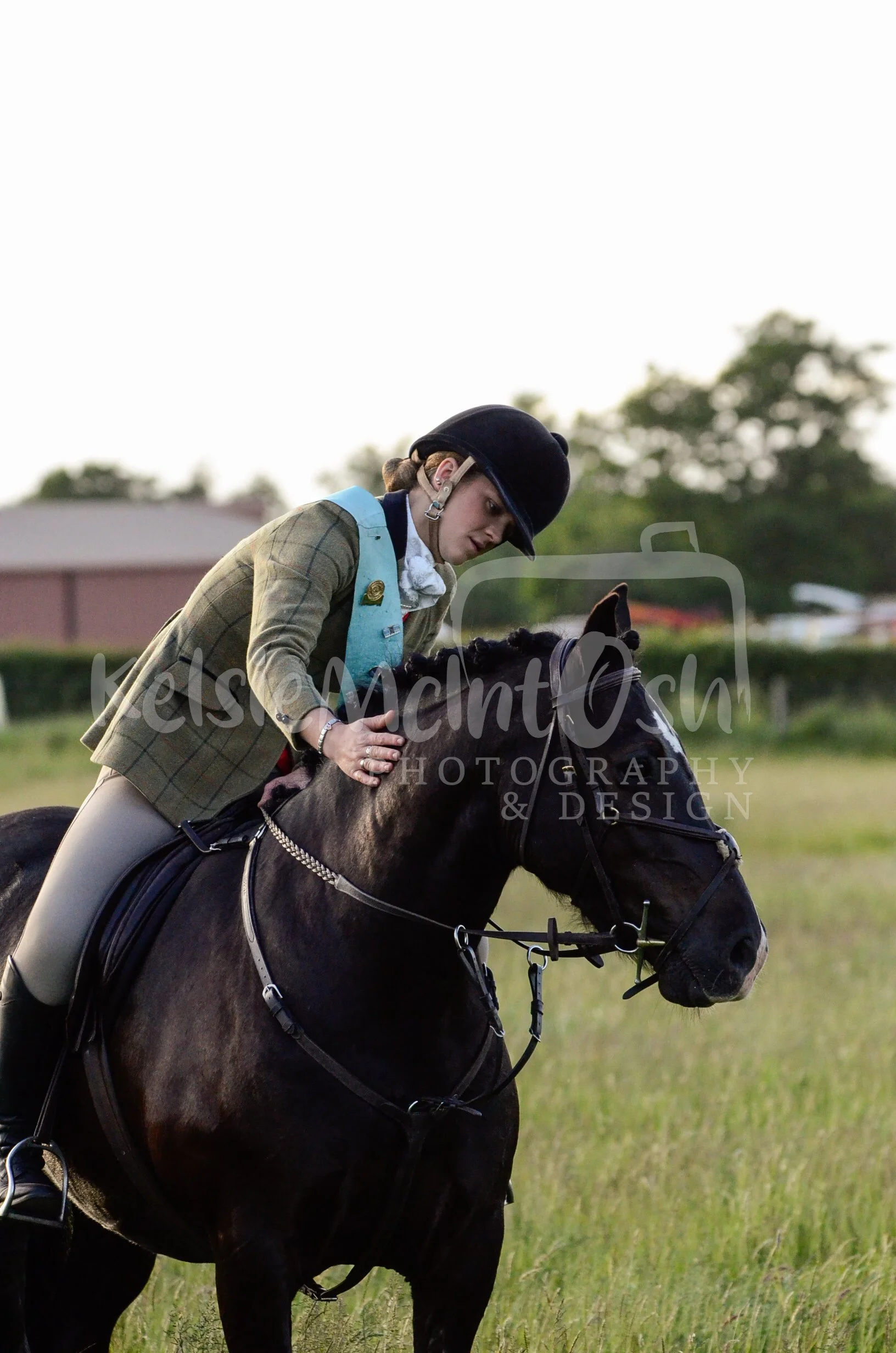 _DSC2254.jpg