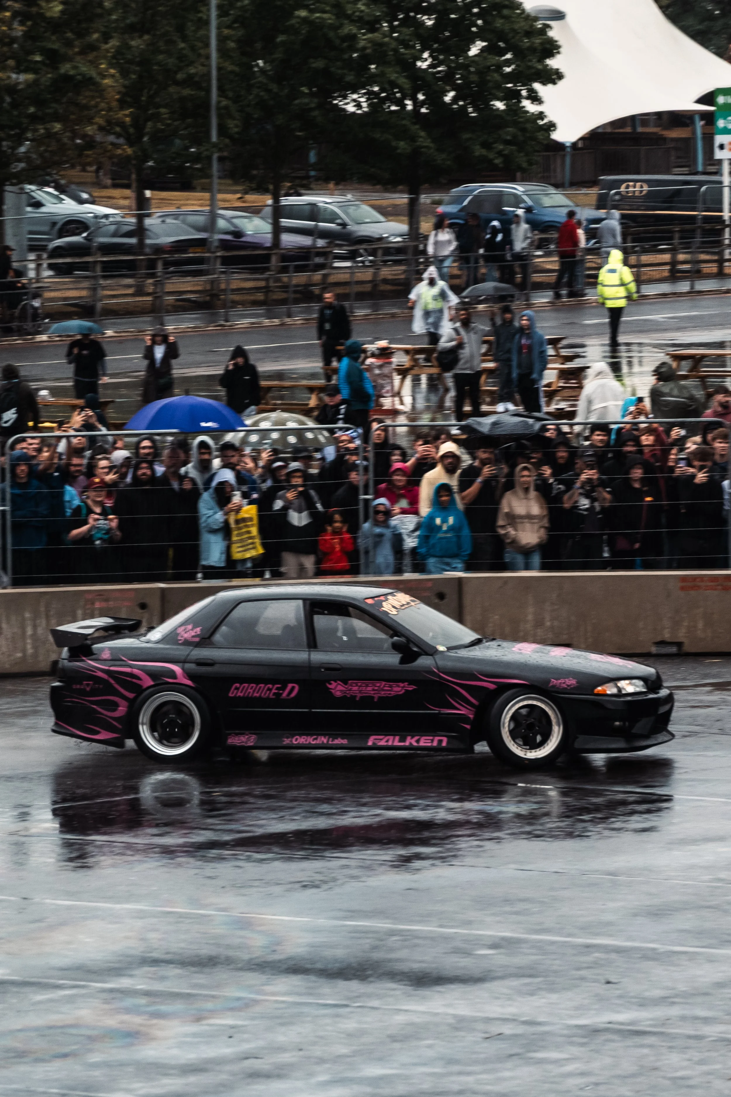 DSC_2773.jpg