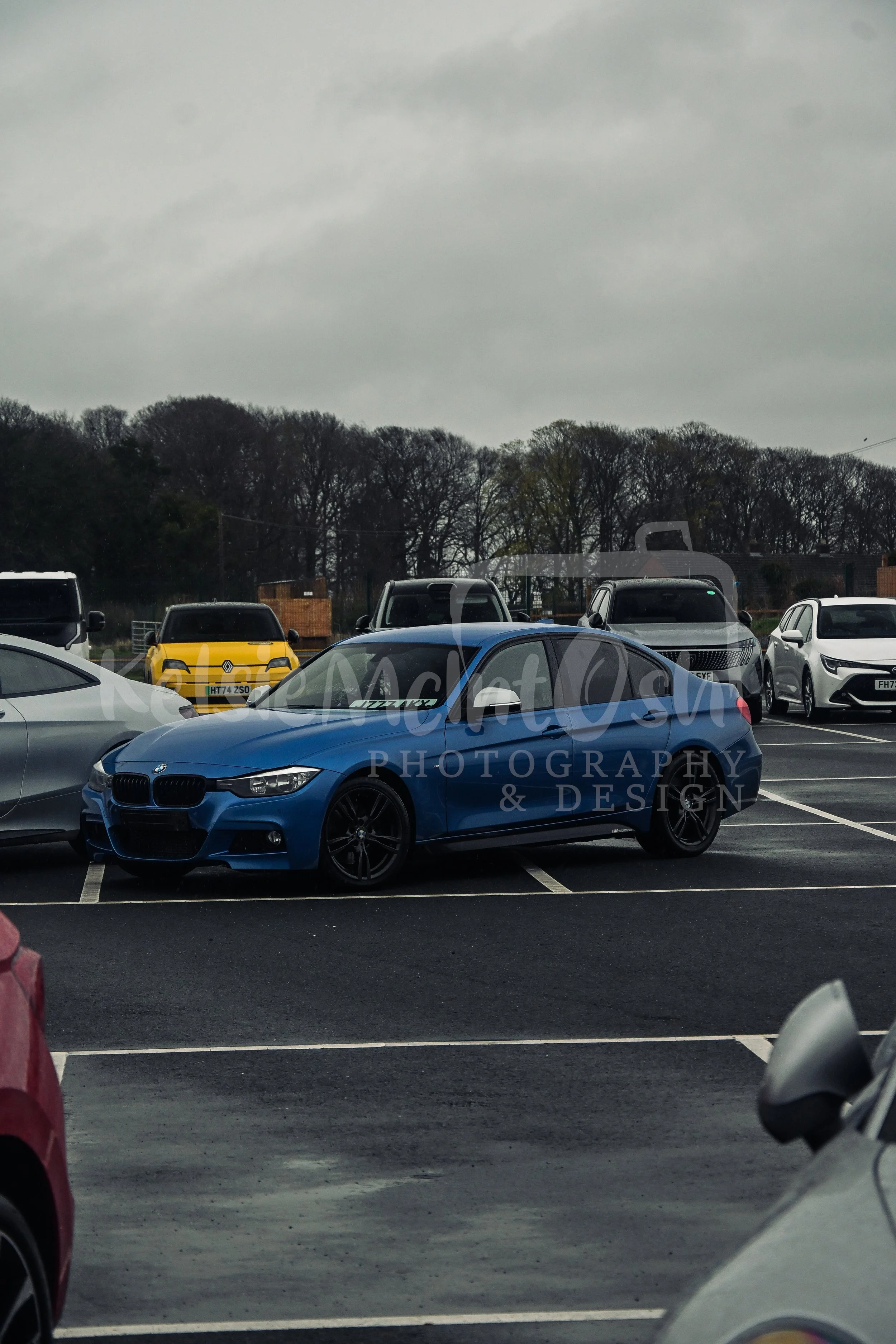 DSC_5931.jpg