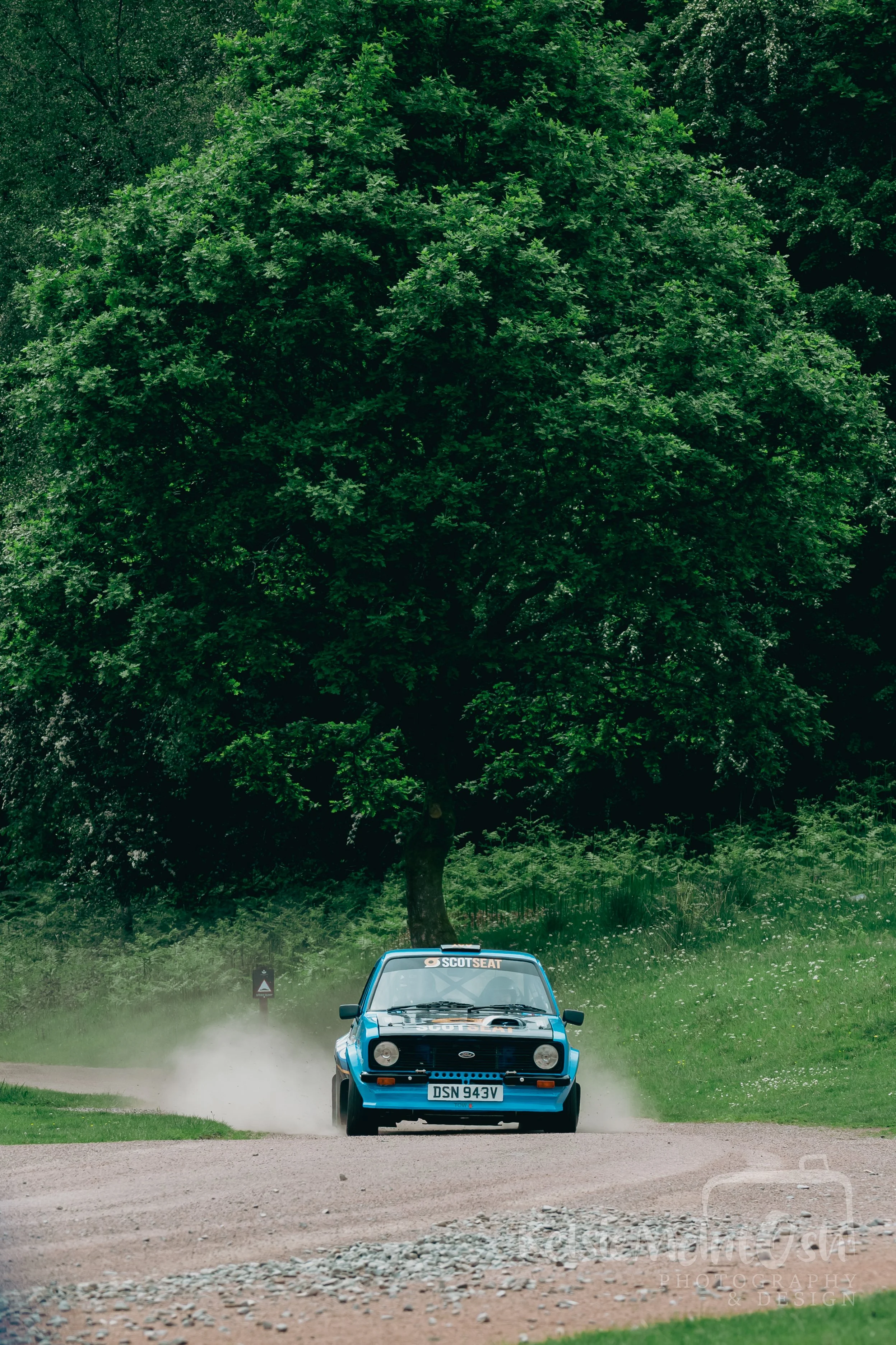 DSC_0487.jpg