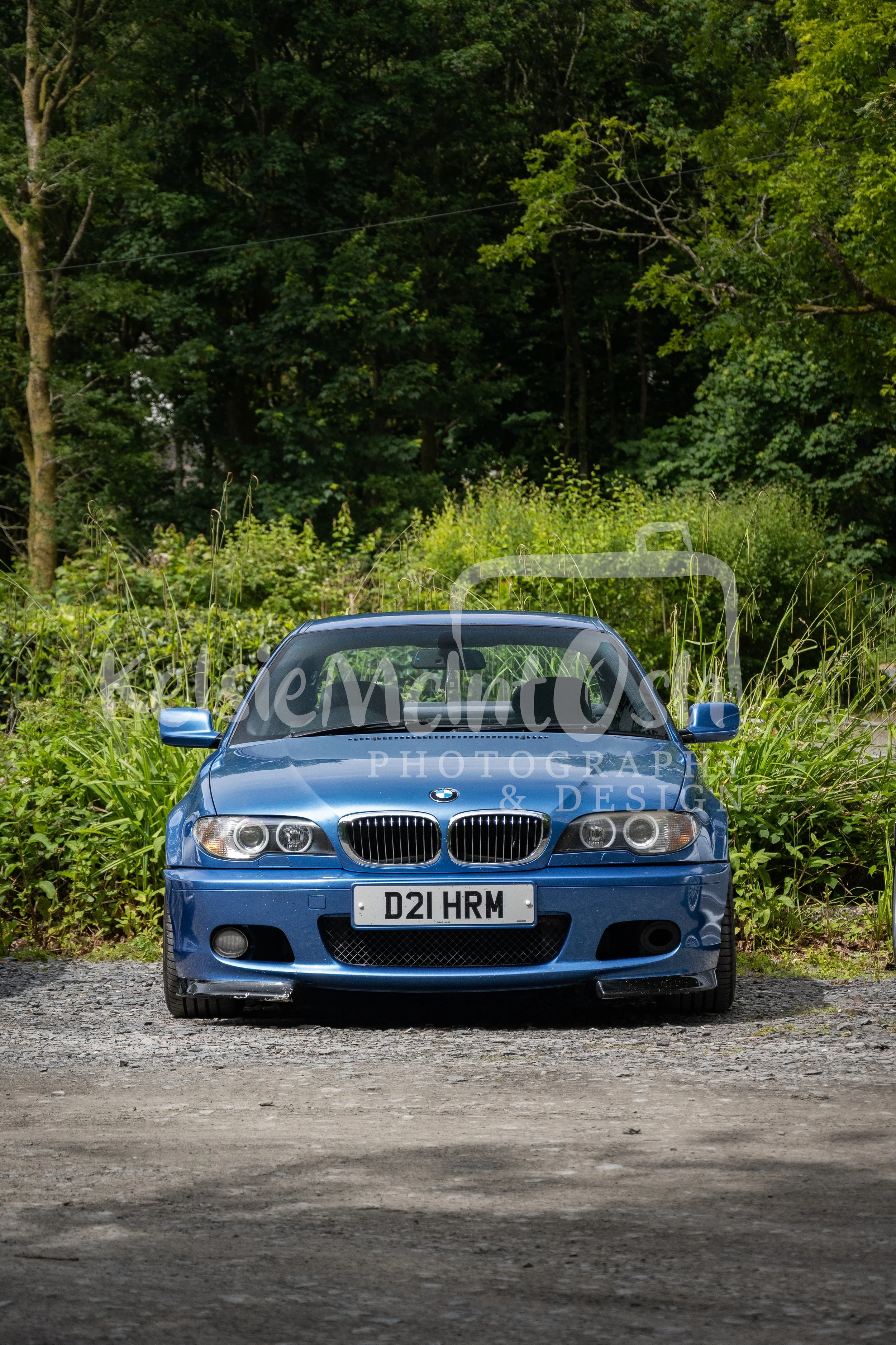 DSC_1290.jpg