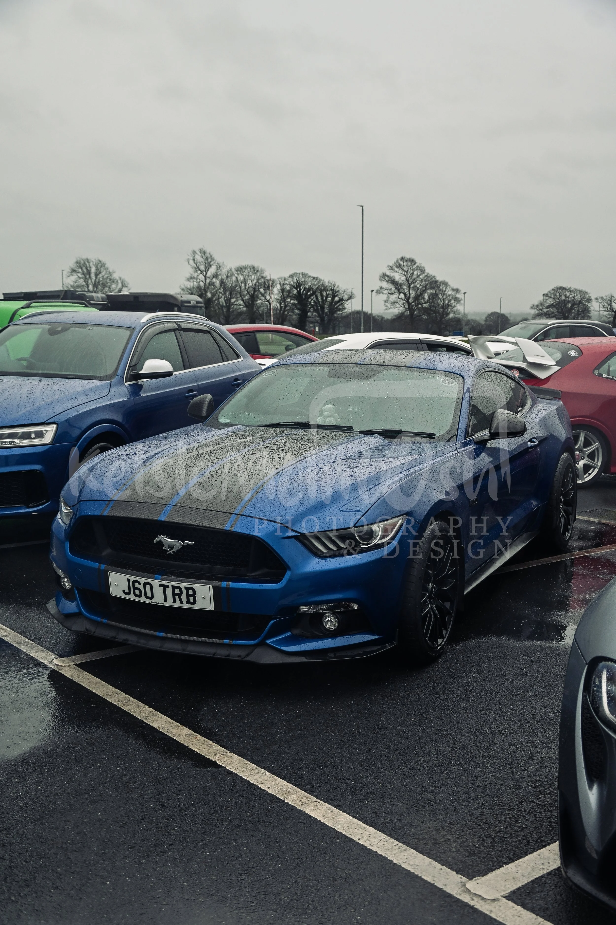 DSC_5909.jpg