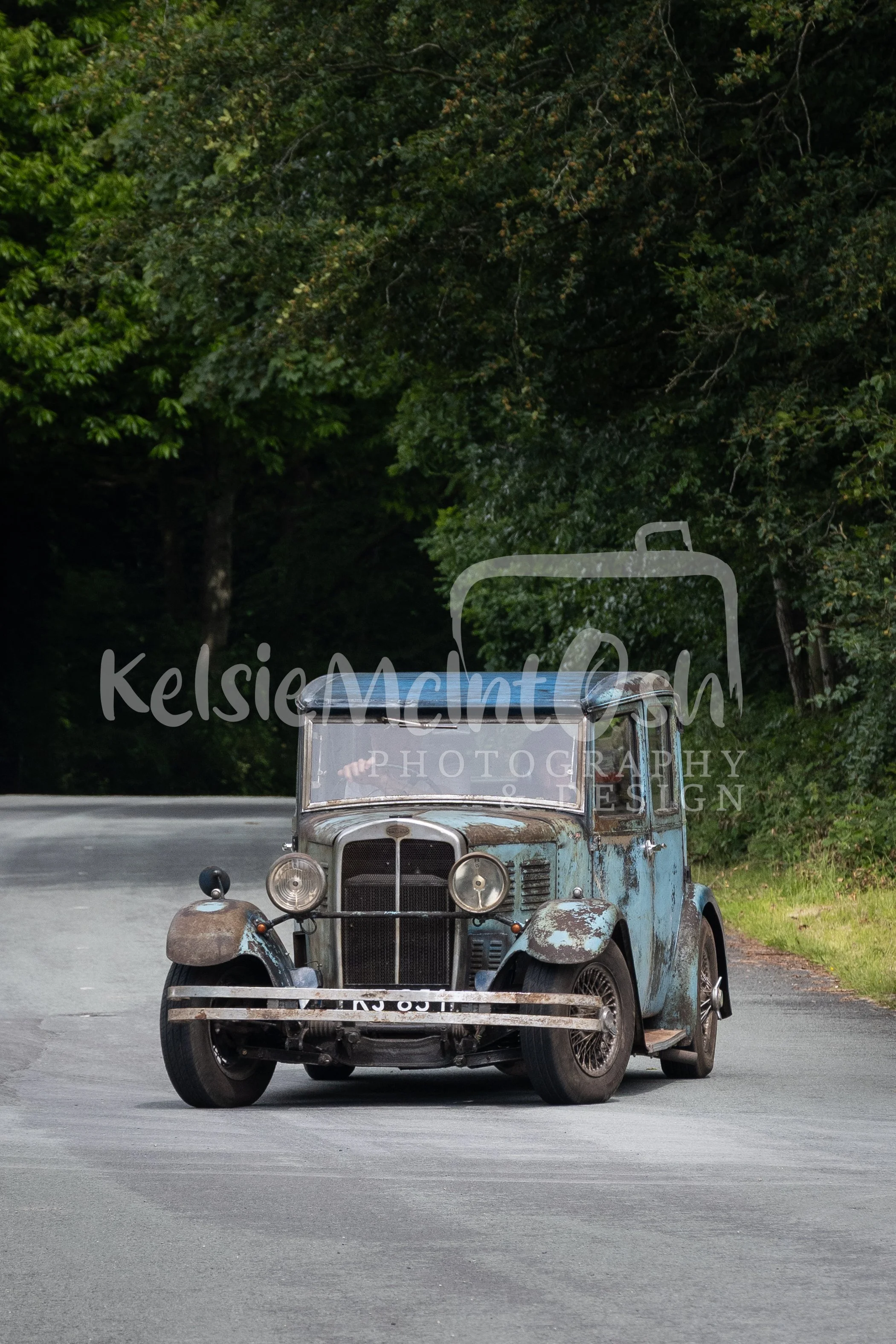 DSC_1334.jpg