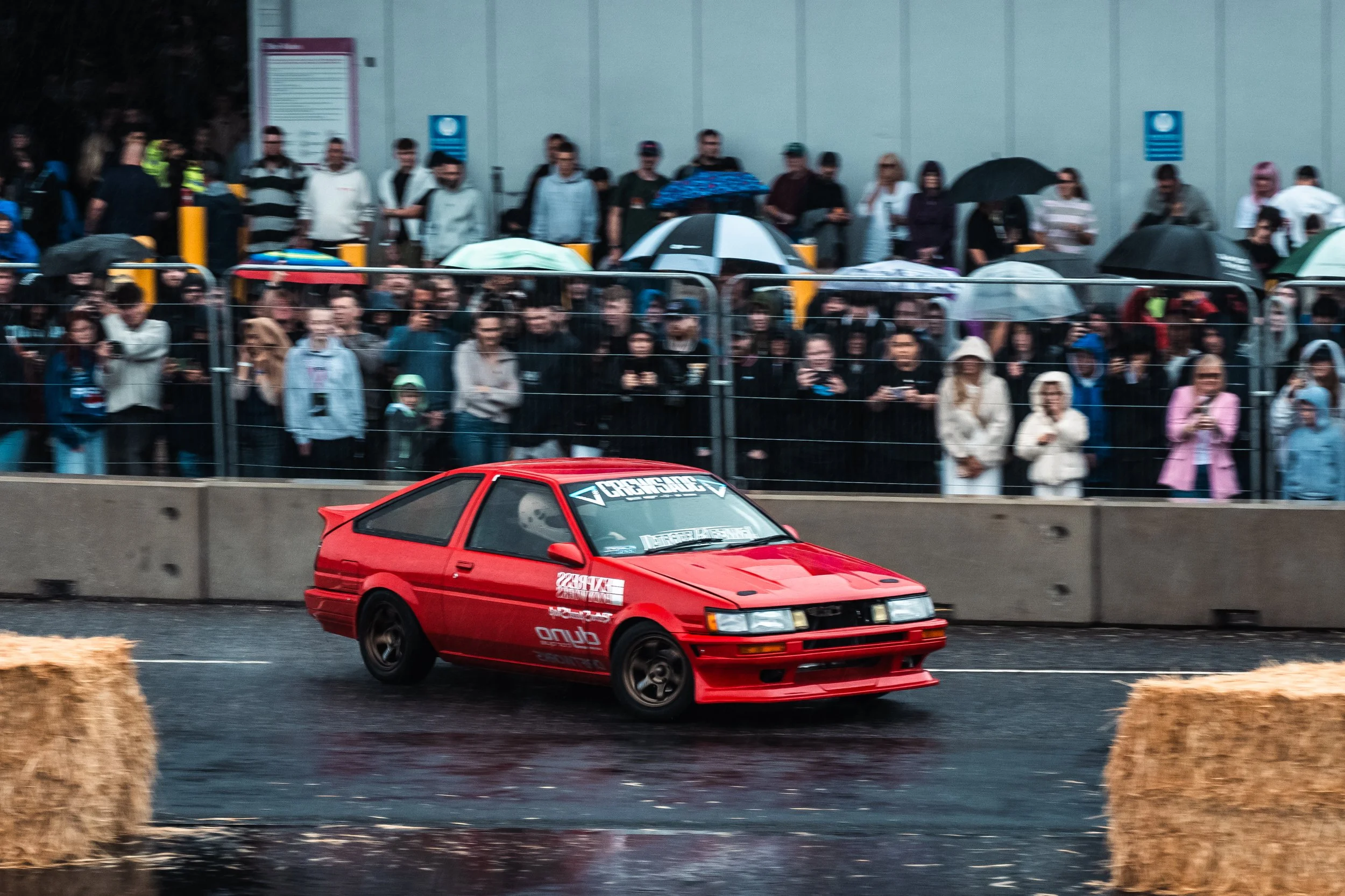 DSC_2684.jpg