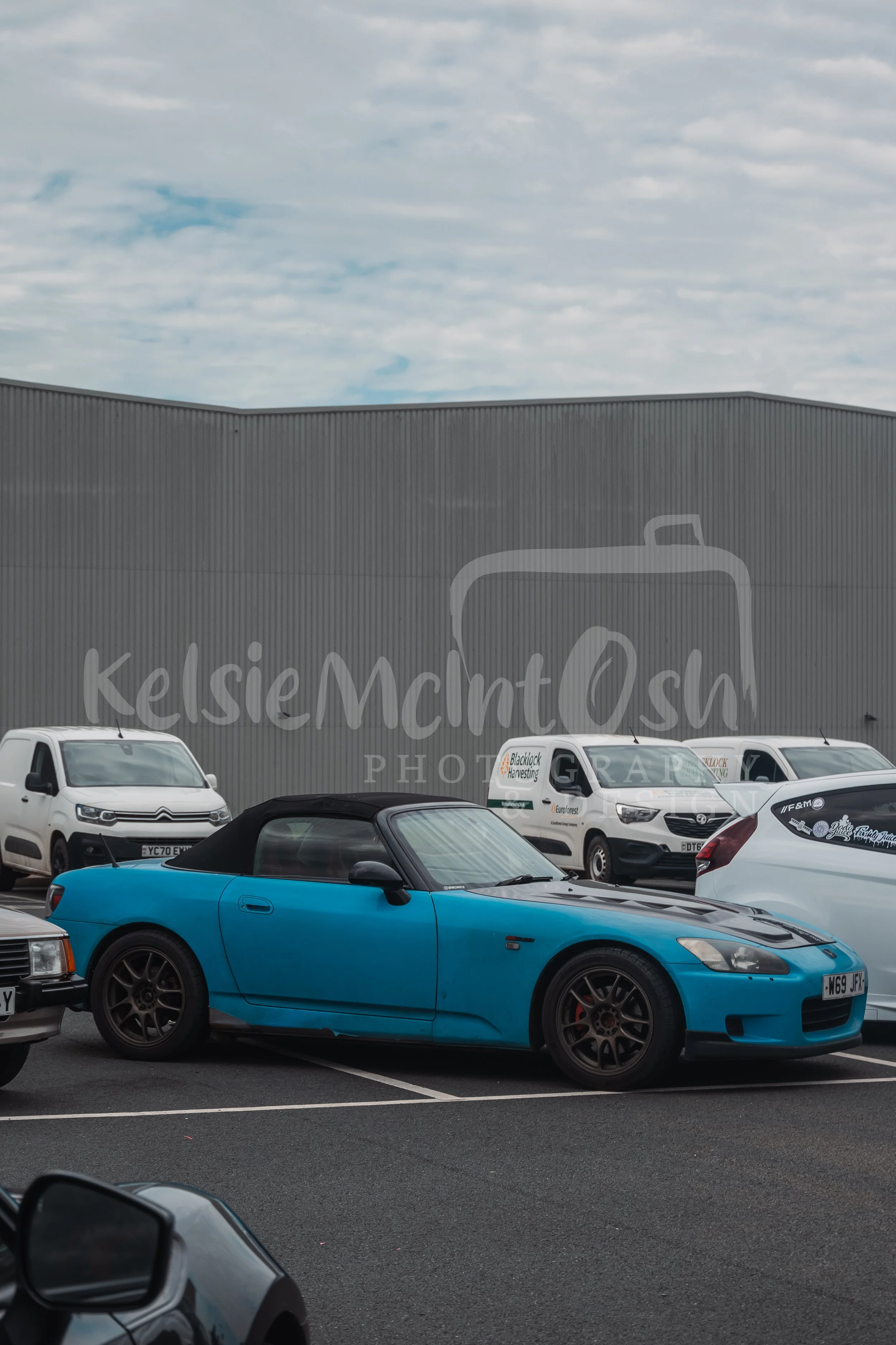 DSC_9564.jpg