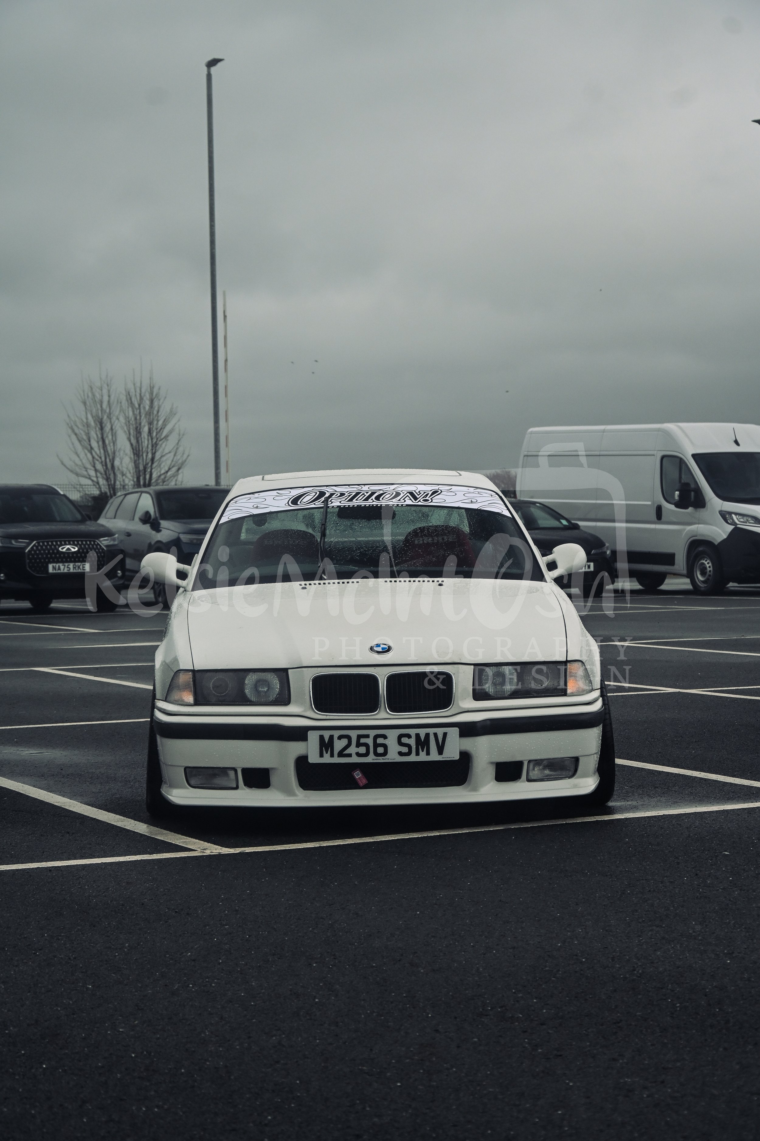 DSC_5955.jpg