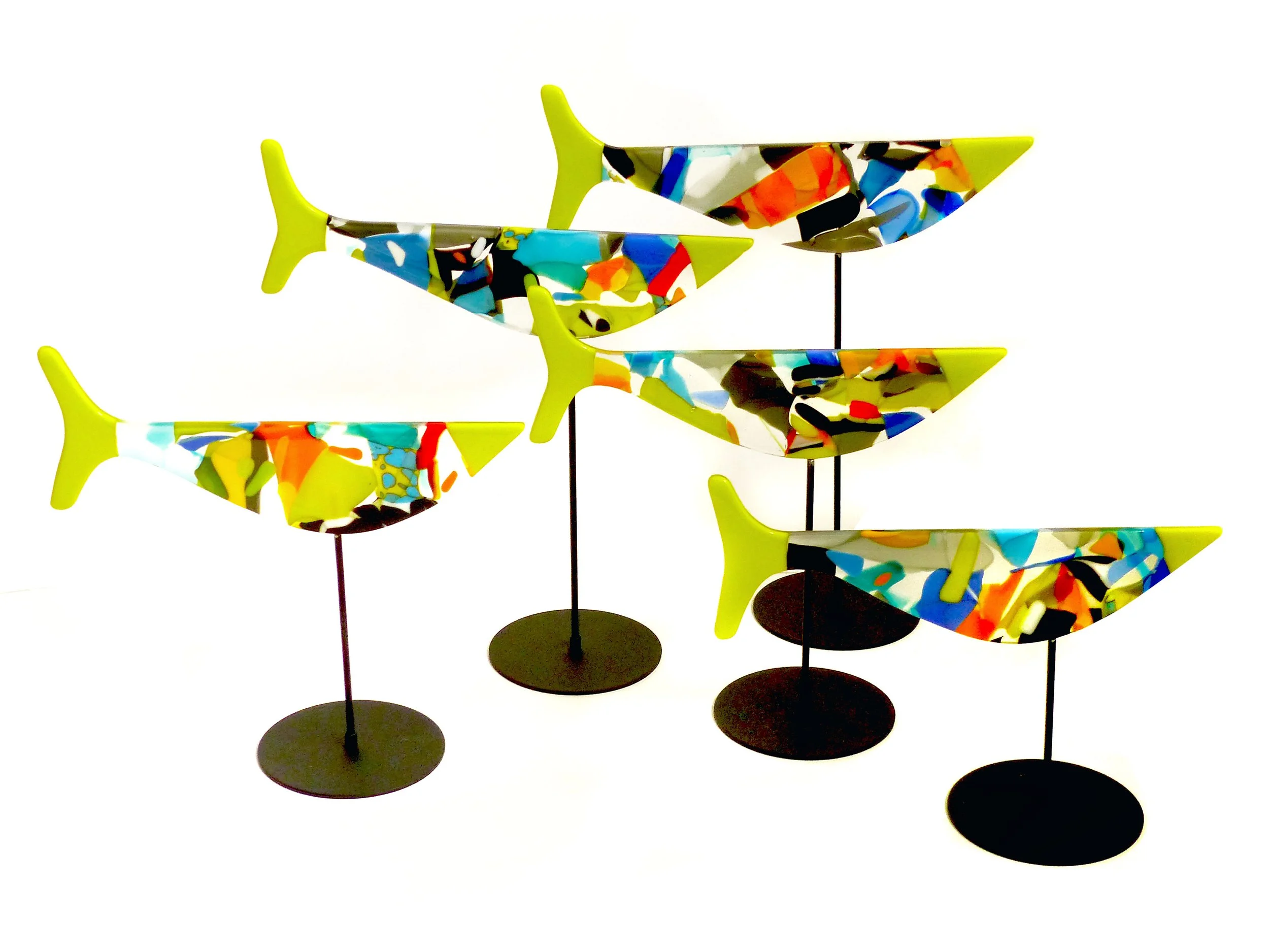 VF_5Multi_GrnTail Fish.jpg