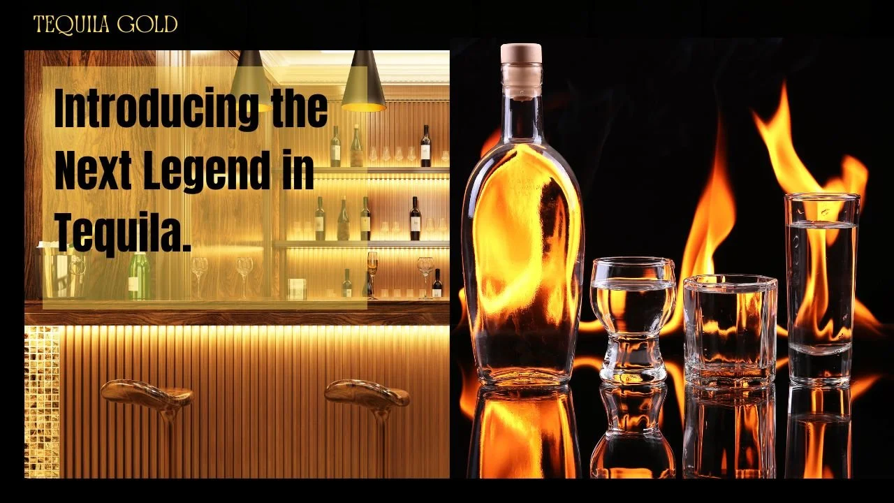 Tequila Thumbnail Design - Boxify Web Designs