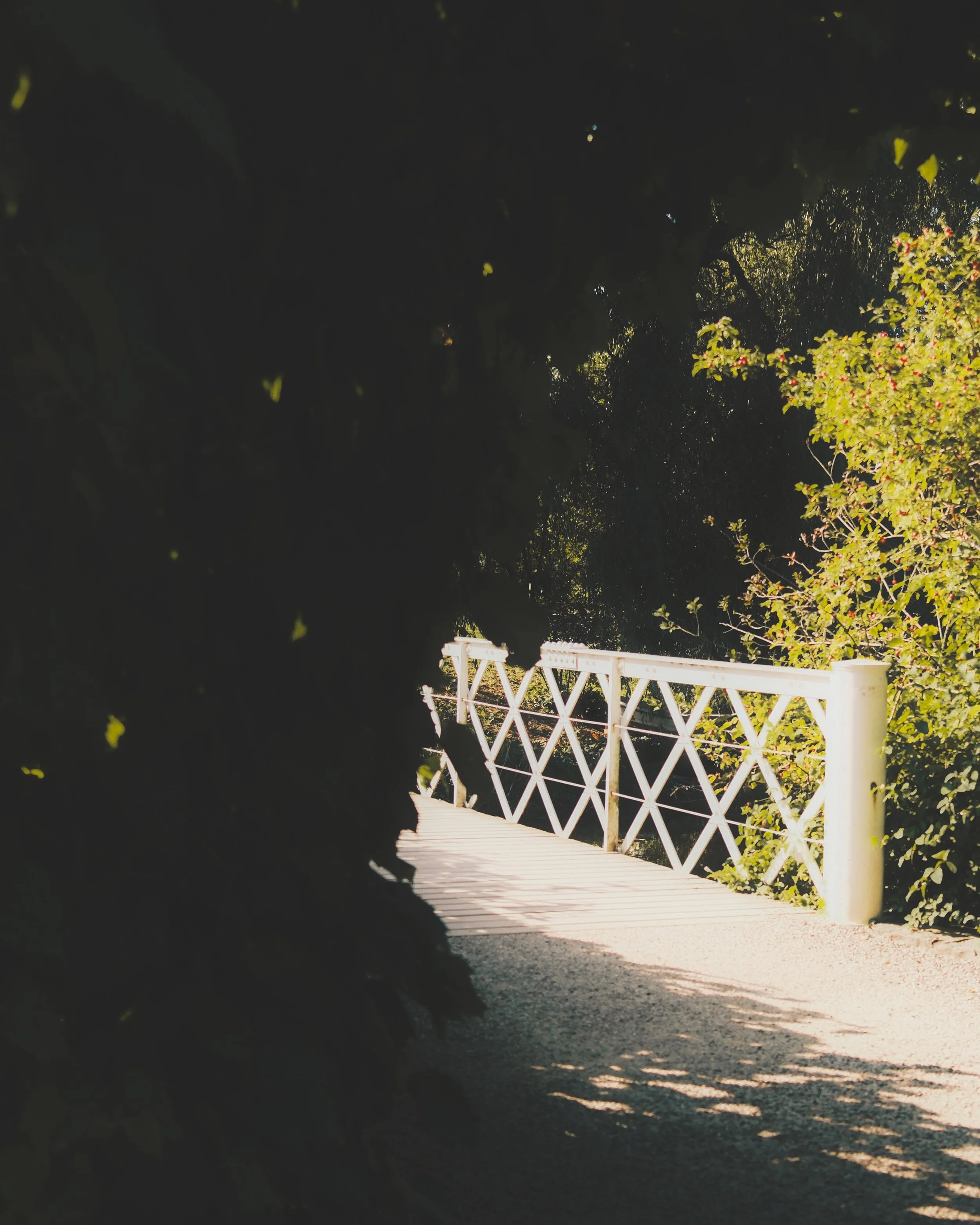 Daytime scene of a white wooden bridge surrounded by trees with green leaves, some illuminated by sunlight, and shadows on the ground.