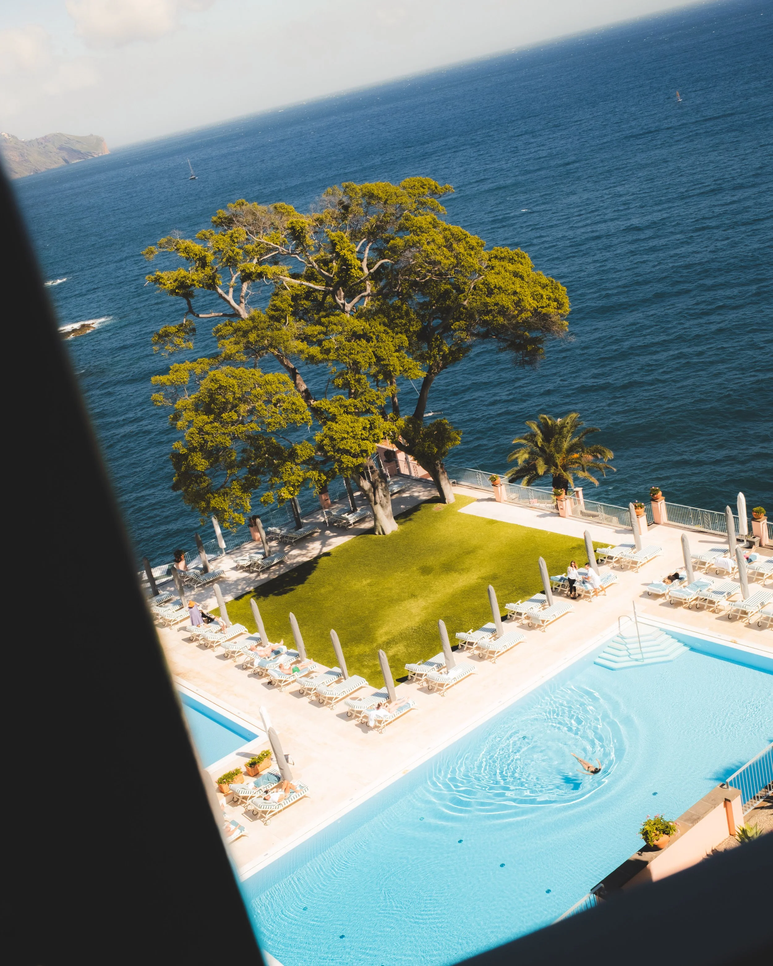 A view of a resort pool area overlooking the ocean with sailboats in the distance and a large tree with green foliage.
