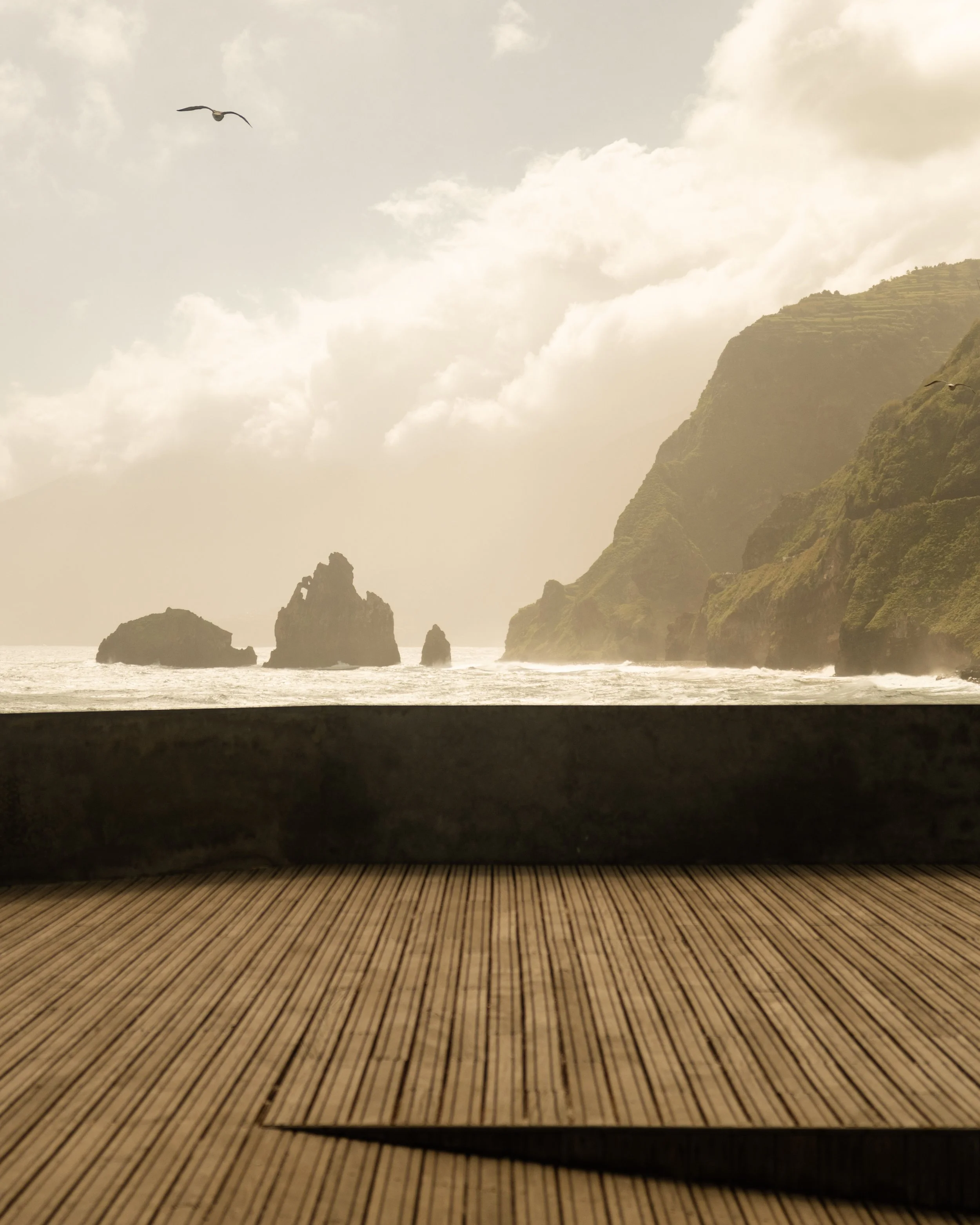 View from a theater stage showing a scenic backdrop of the ocean with rocks and cliffs, clouds in the sky, and seagulls flying, framed by a wooden stage floor.