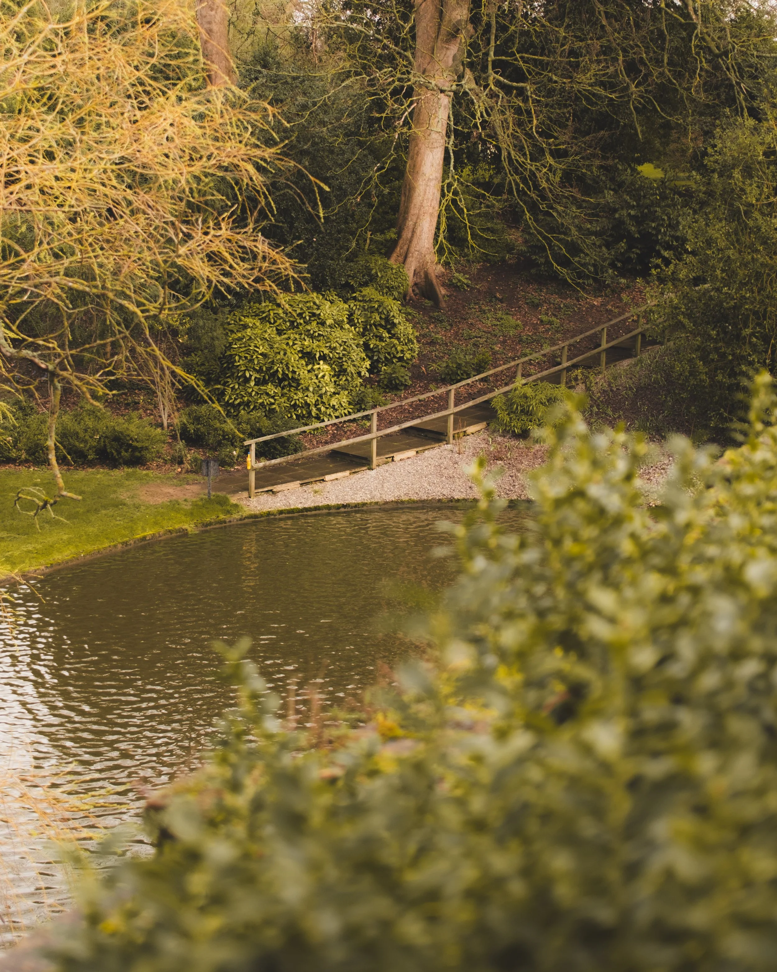 A scenic park scene with a river in the foreground, surrounded by lush green grass, trees, and bushes, with a small wooden bridge over the pathway.
