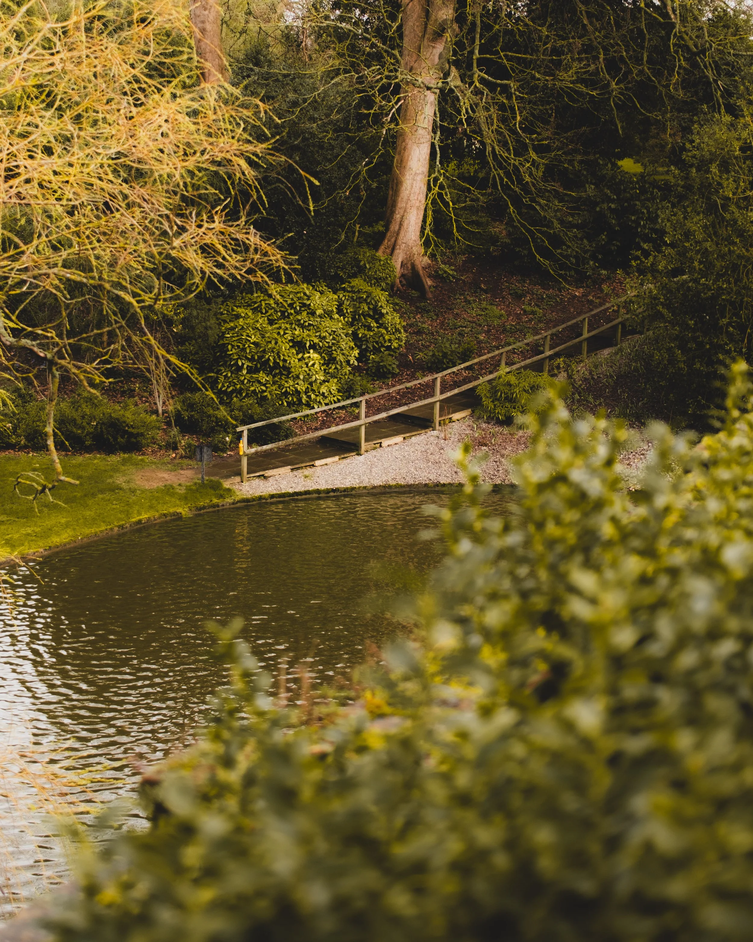 A small lake with rippling water surrounded by trees and shrubs, with a narrow wooden bridge leading into a wooded area. Lionel Chu - Hotel & Travel Photographer