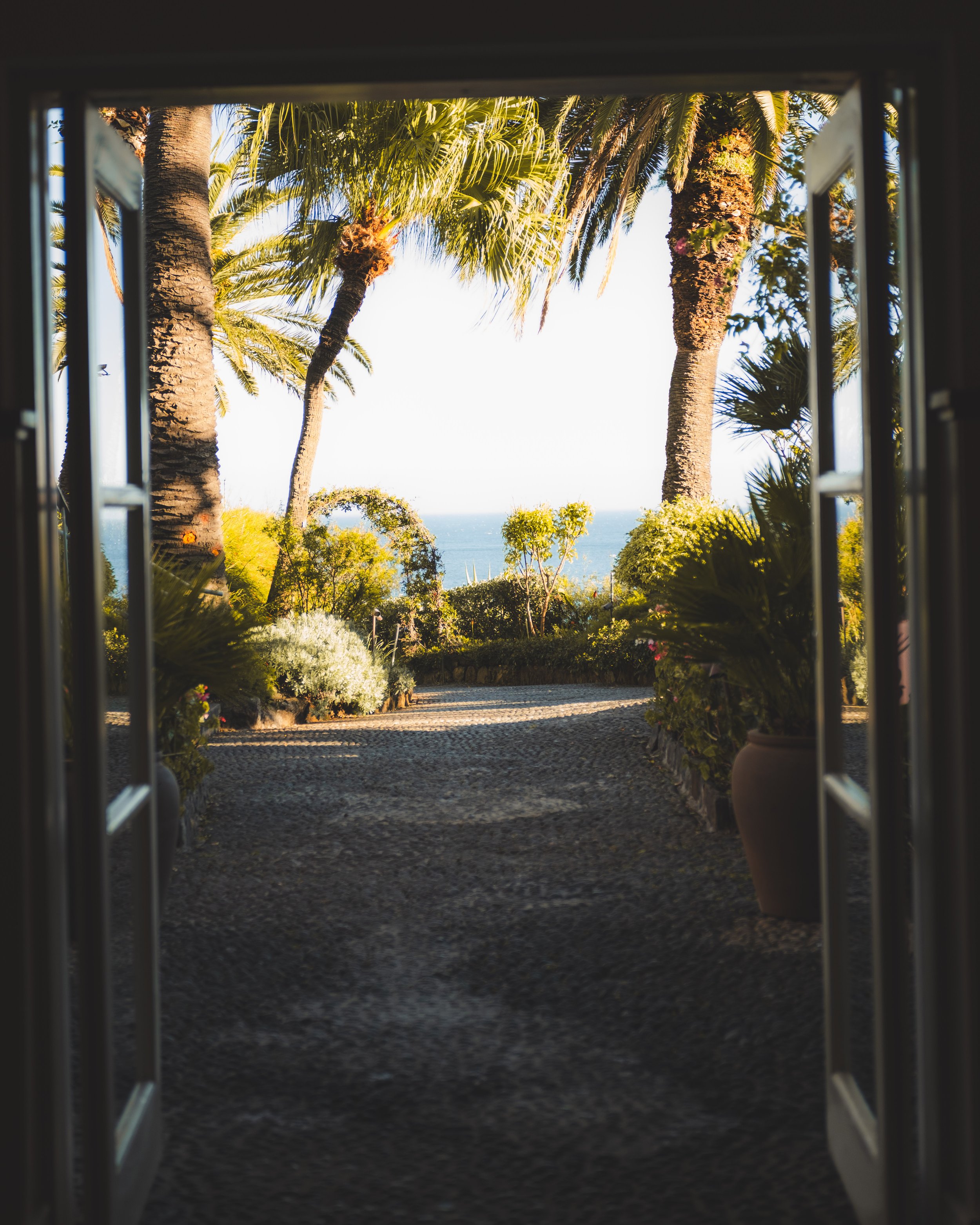 View through a window showing palm trees, bushes, and the ocean in the distance.