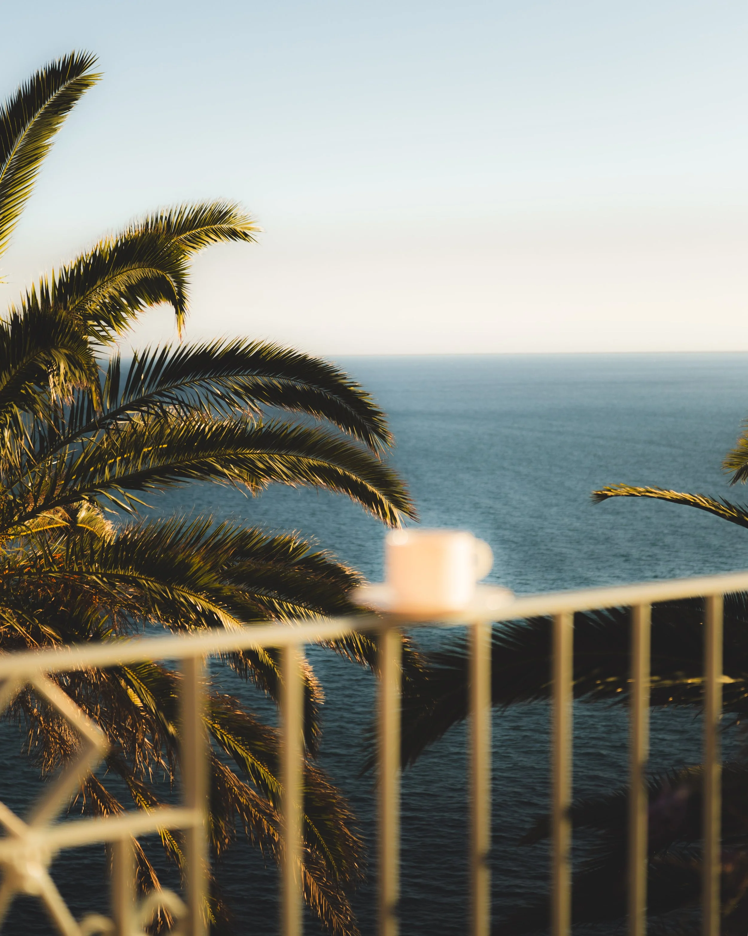 View of the ocean with palm trees in the foreground, seen from a balcony with a white railing, during sunset or sunrise.